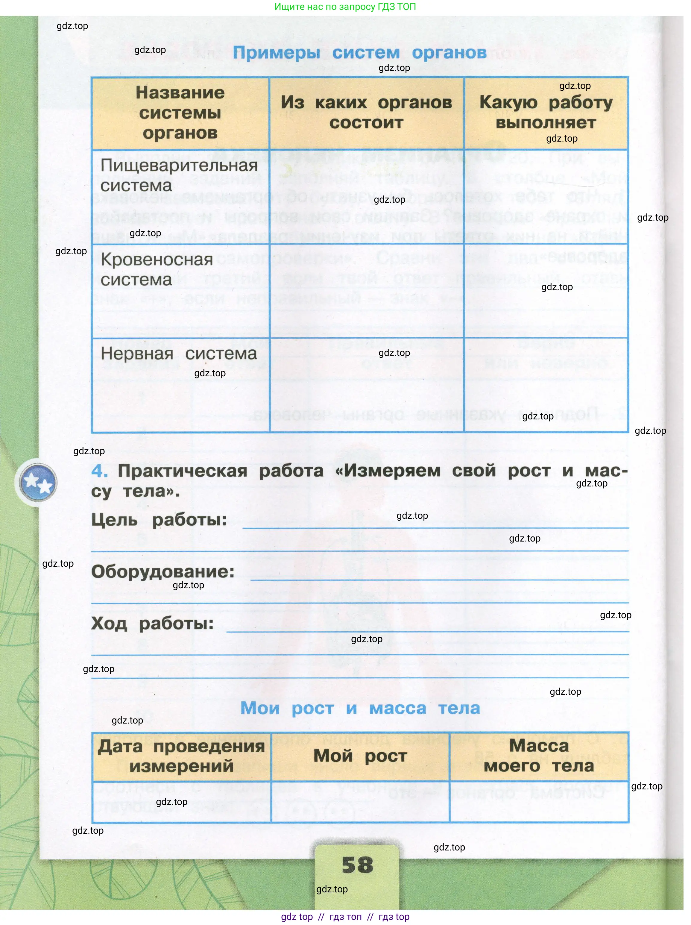 Окружающий мир, 3 класс рабочая тетрадь, автор: Плешаков Андрей Анатольевич, издательство Просвещение, Москва, 2023, белого цвета, страница 58