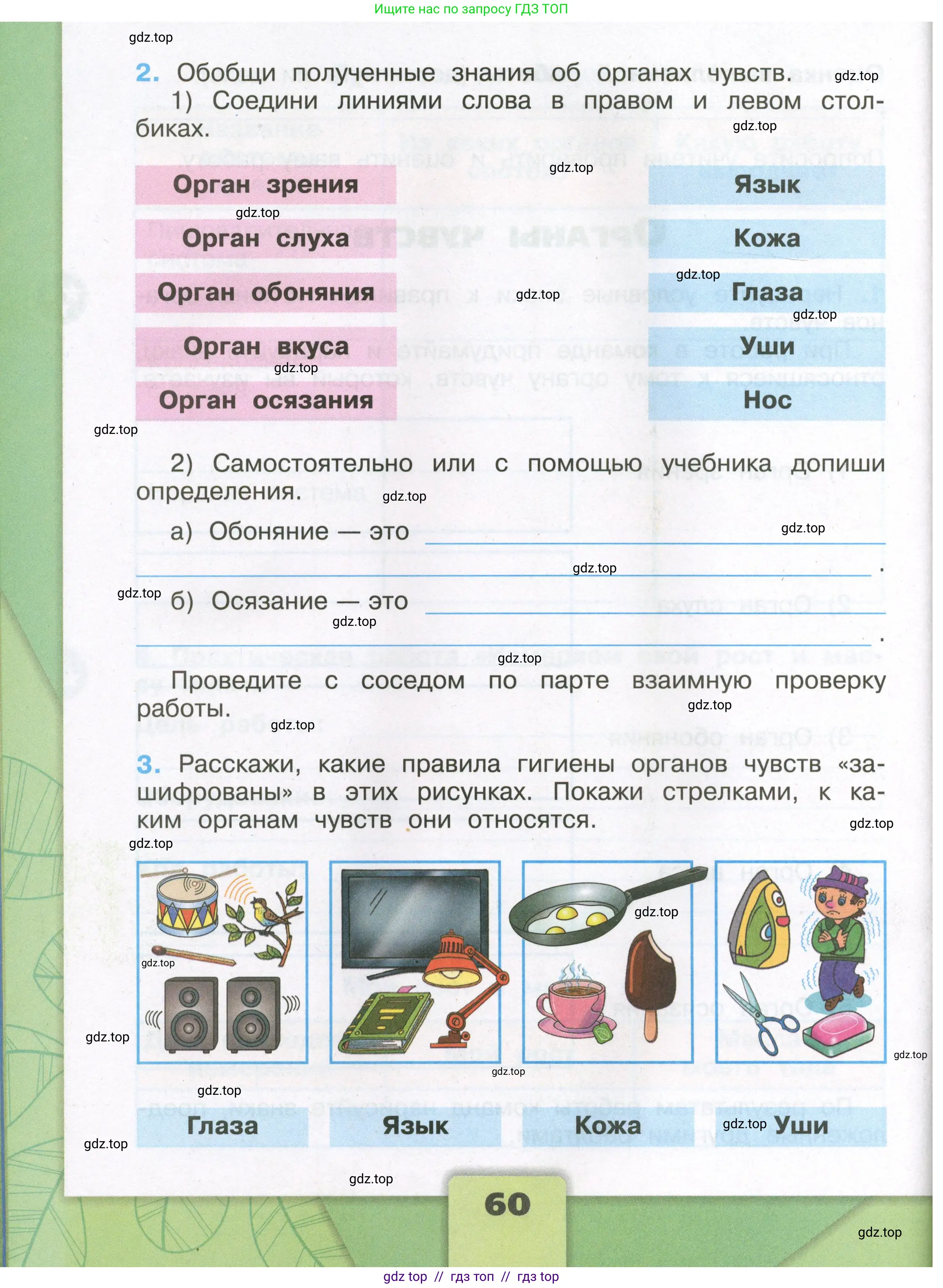 Окружающий мир, 3 класс рабочая тетрадь, автор: Плешаков Андрей Анатольевич, издательство Просвещение, Москва, 2023, белого цвета, страница 60