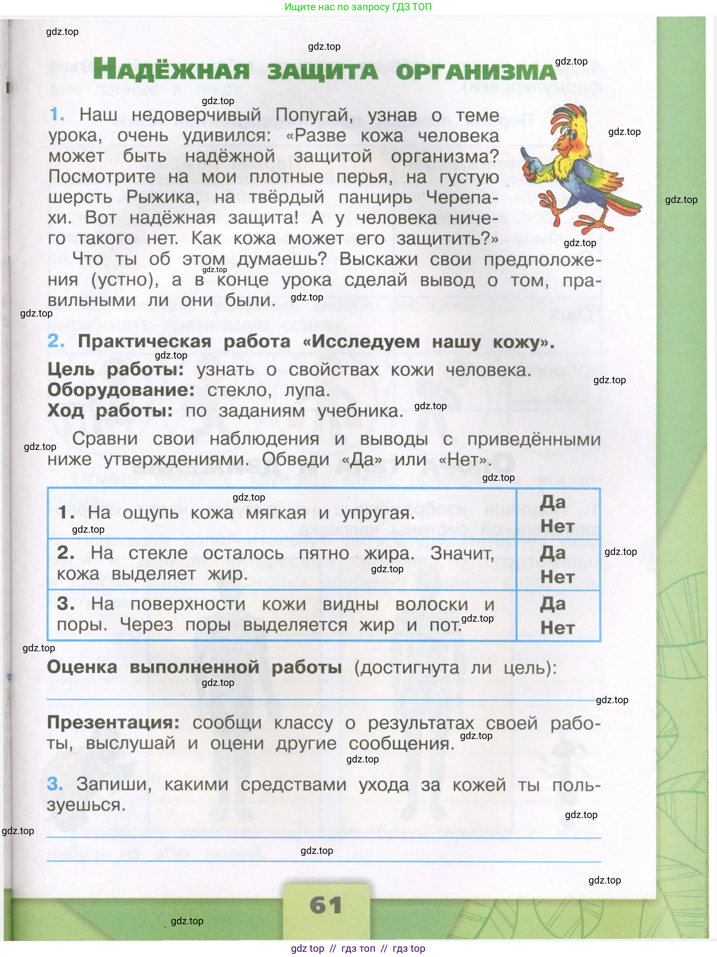 Окружающий мир, 3 класс рабочая тетрадь, автор: Плешаков Андрей Анатольевич, издательство Просвещение, Москва, 2023, белого цвета, Часть 1, страница 61