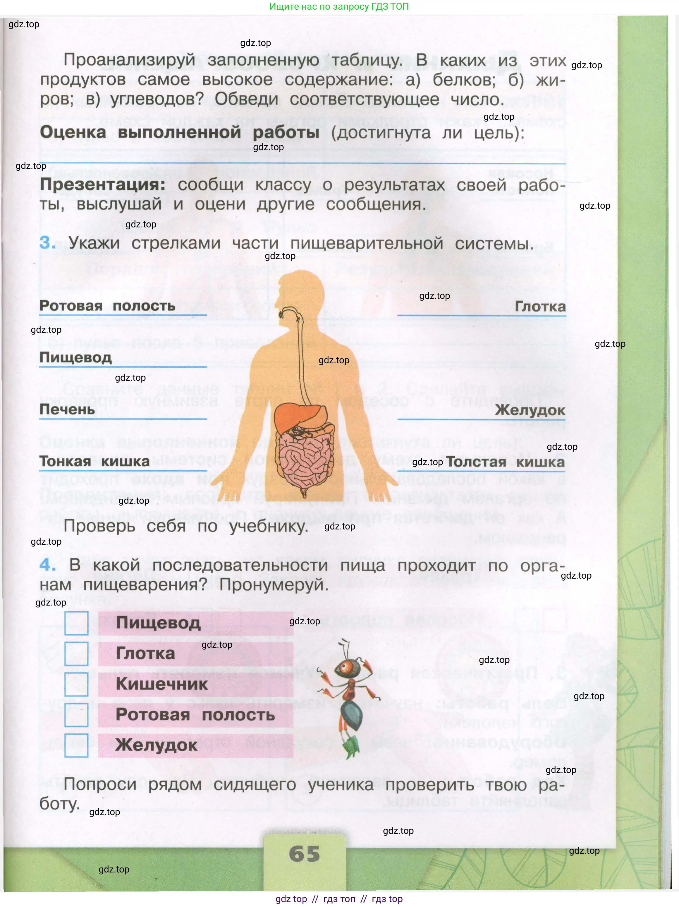 Окружающий мир, 3 класс рабочая тетрадь, автор: Плешаков Андрей Анатольевич, издательство Просвещение, Москва, 2023, белого цвета, страница 65