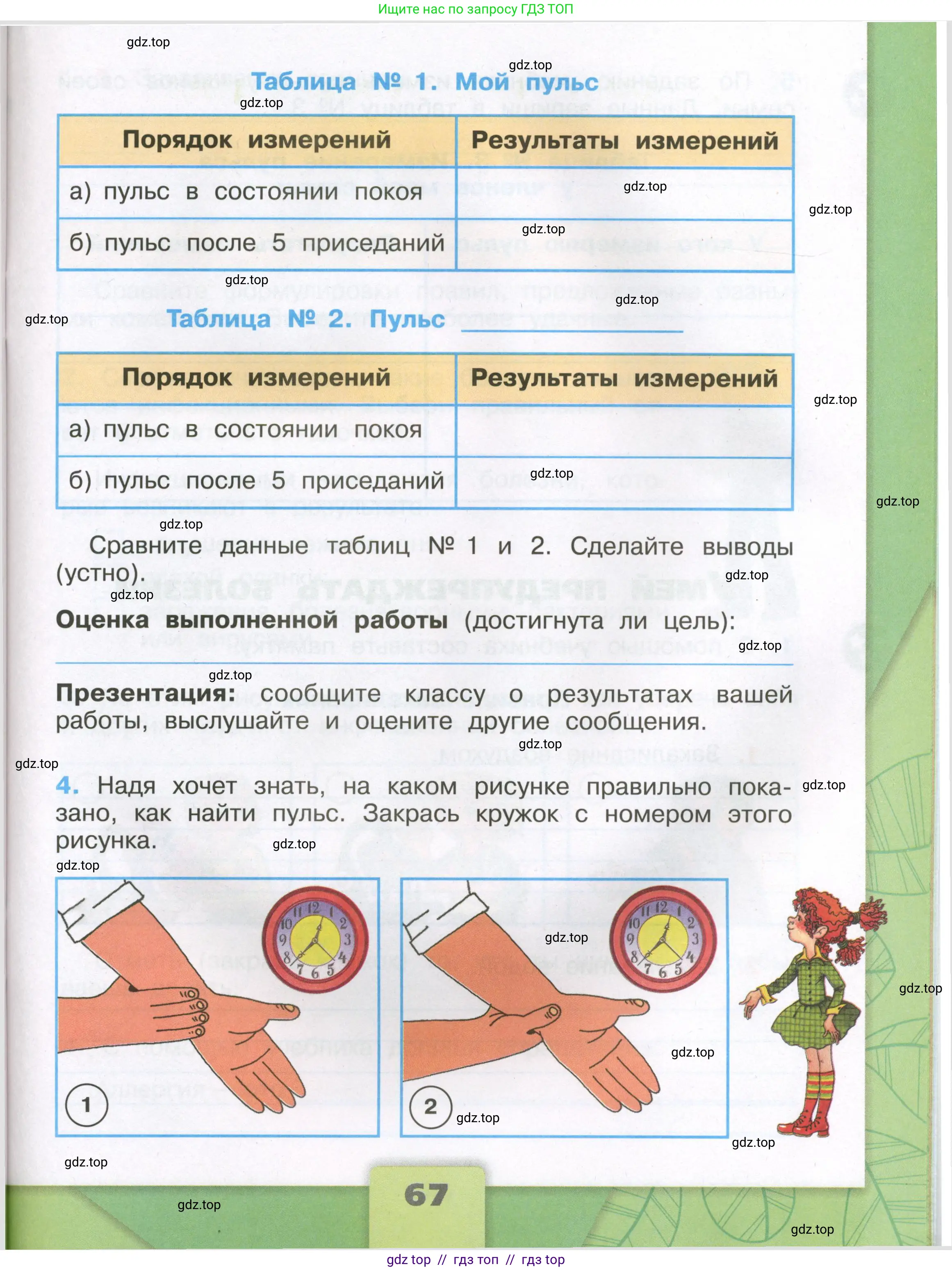Окружающий мир, 3 класс рабочая тетрадь, автор: Плешаков Андрей Анатольевич, издательство Просвещение, Москва, 2023, белого цвета, страница 67