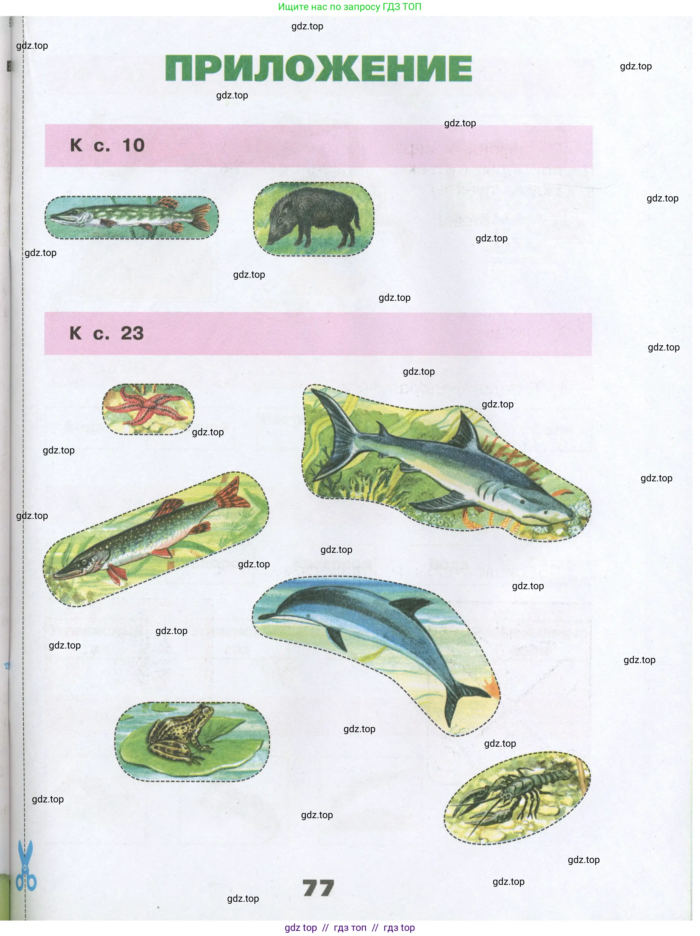 Окружающий мир, 3 класс рабочая тетрадь, автор: Плешаков Андрей Анатольевич, издательство Просвещение, Москва, 2023, белого цвета, страница 77