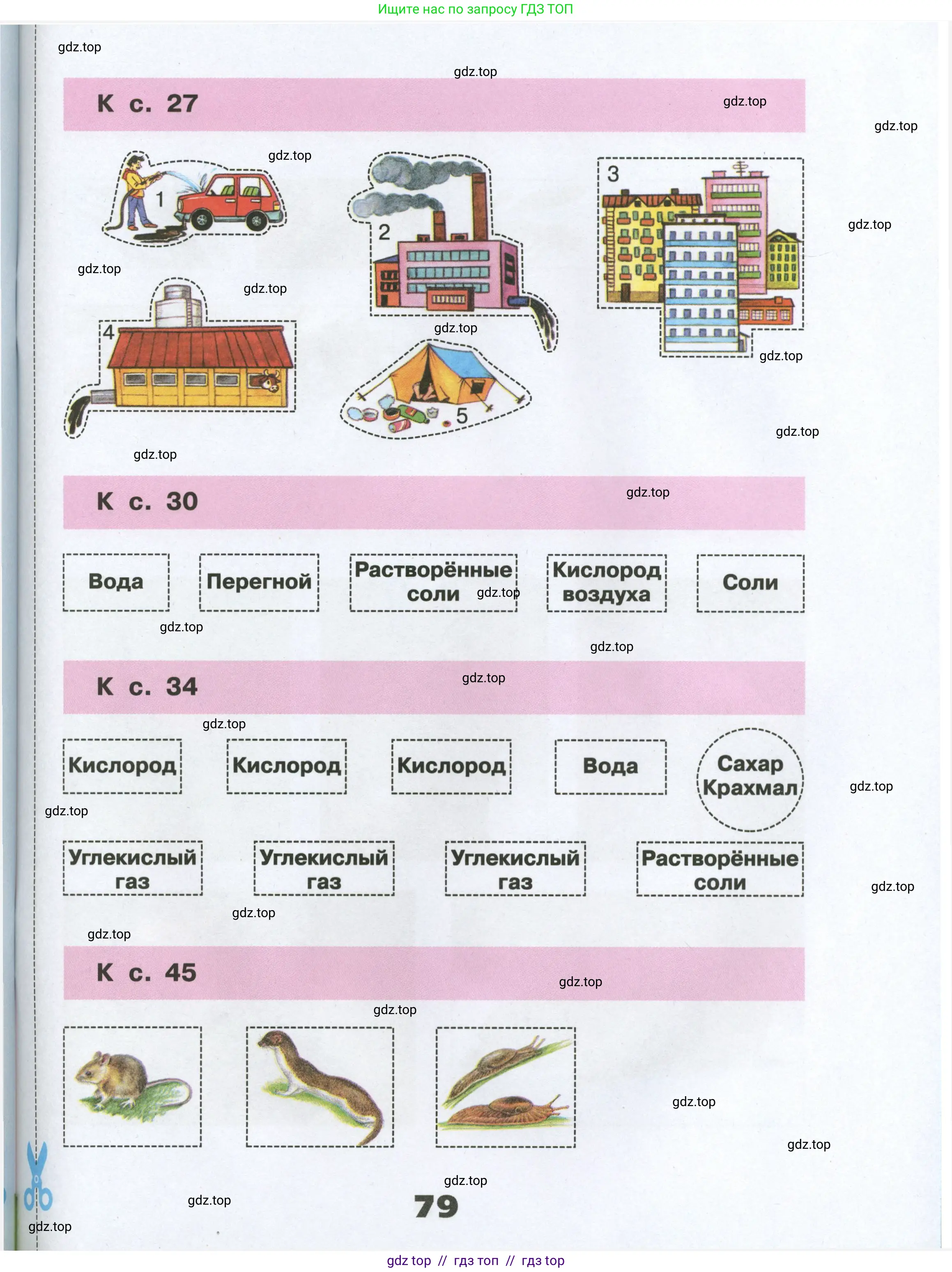 Окружающий мир, 3 класс рабочая тетрадь, автор: Плешаков Андрей Анатольевич, издательство Просвещение, Москва, 2023, белого цвета, страница 79