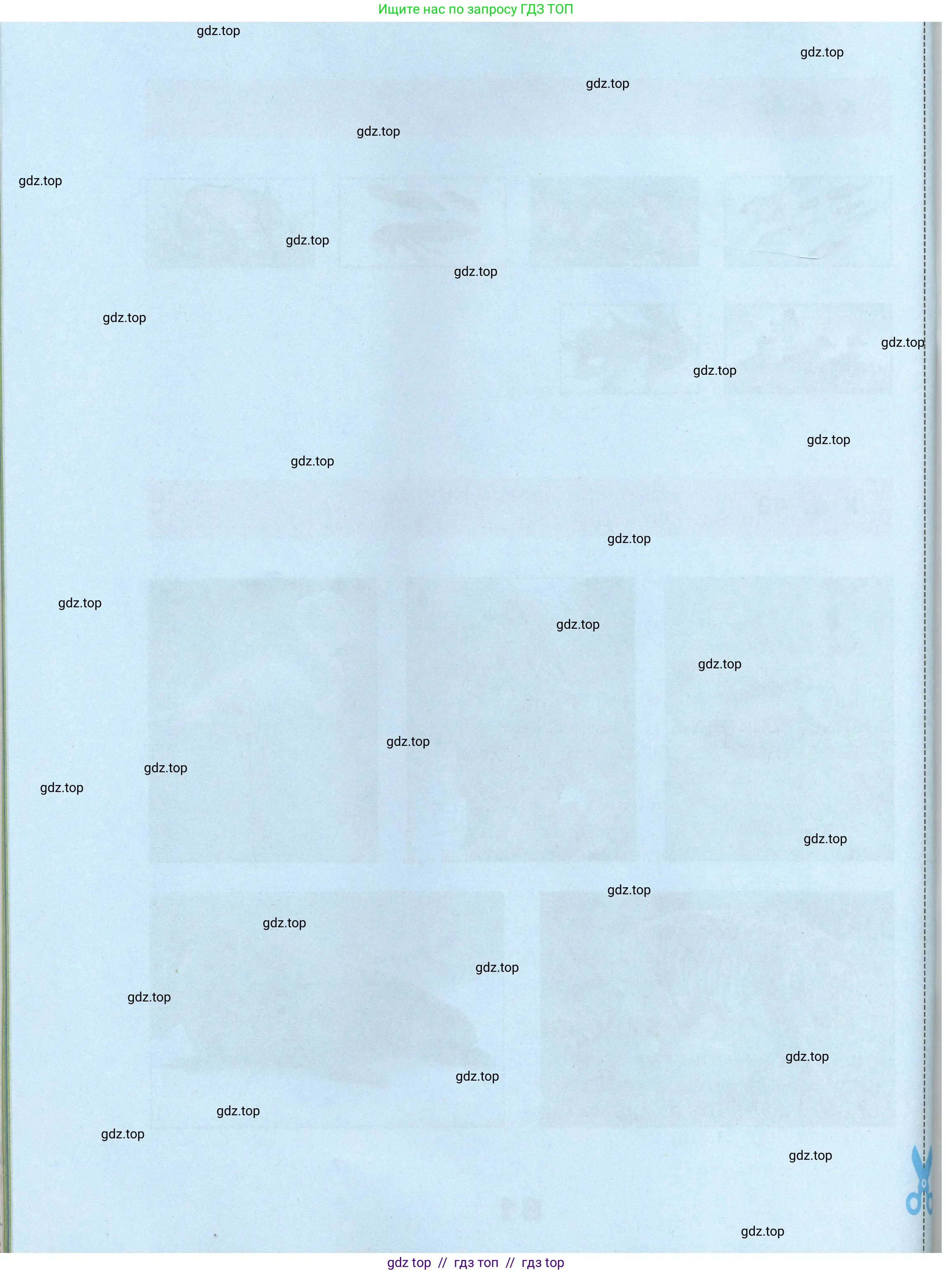 Окружающий мир, 3 класс рабочая тетрадь, автор: Плешаков Андрей Анатольевич, издательство Просвещение, Москва, 2023, белого цвета, страница 82