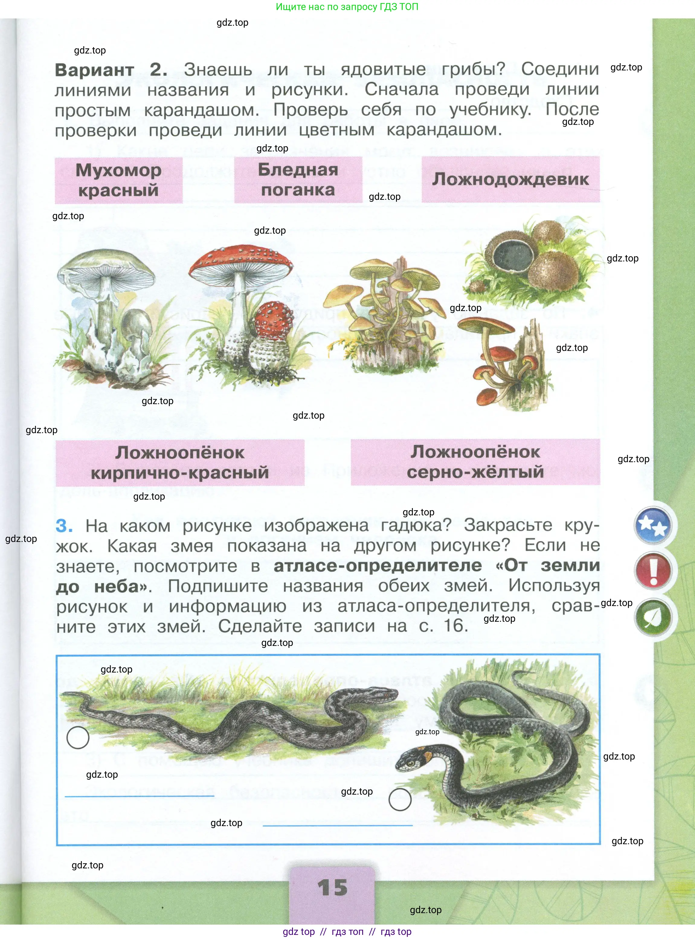 Окружающий мир, 3 класс рабочая тетрадь, автор: Плешаков Андрей Анатольевич, издательство Просвещение, Москва, 2023, белого цвета, страница 15