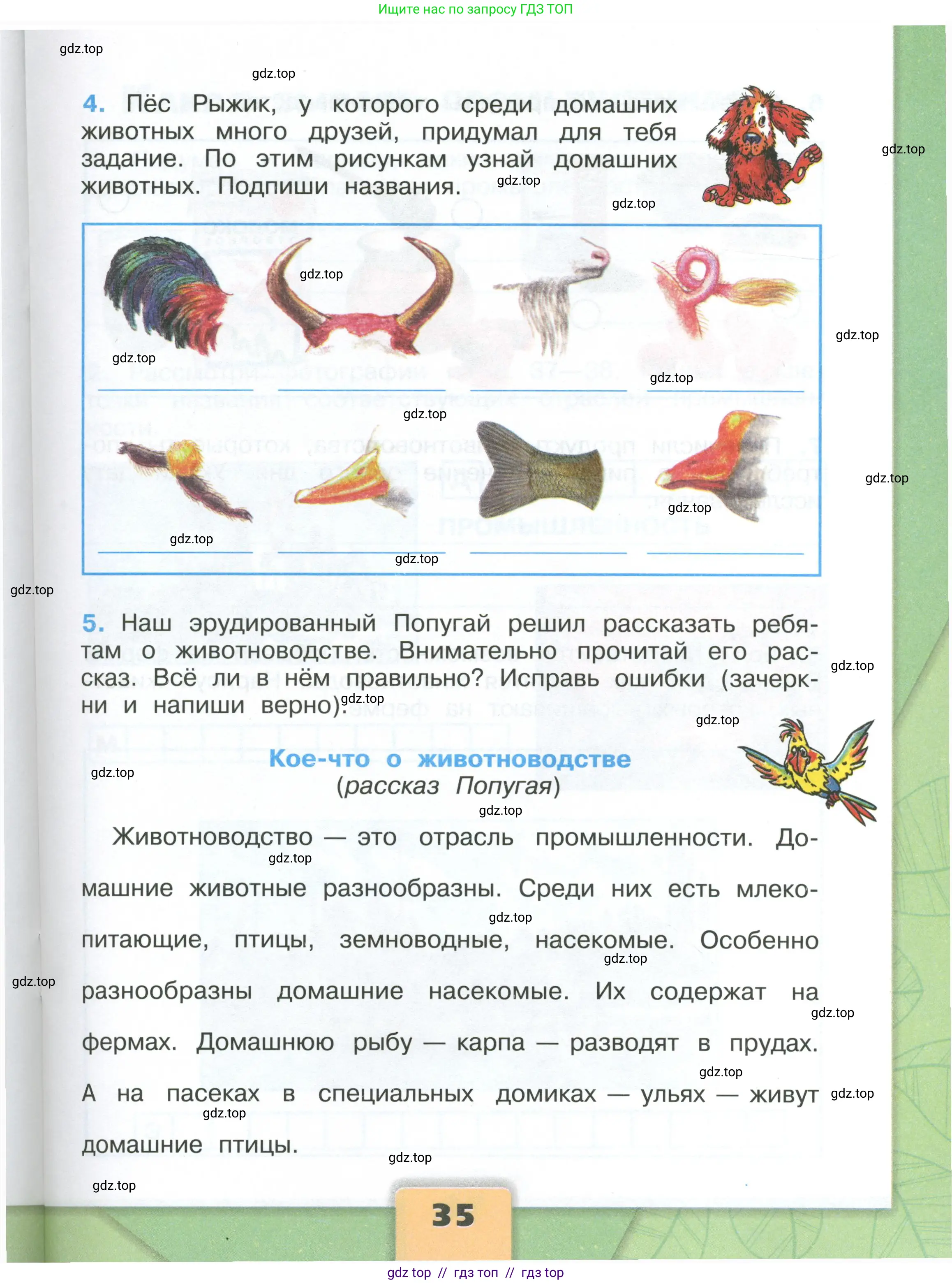 Окружающий мир, 3 класс рабочая тетрадь, автор: Плешаков Андрей Анатольевич, издательство Просвещение, Москва, 2023, белого цвета, страница 35