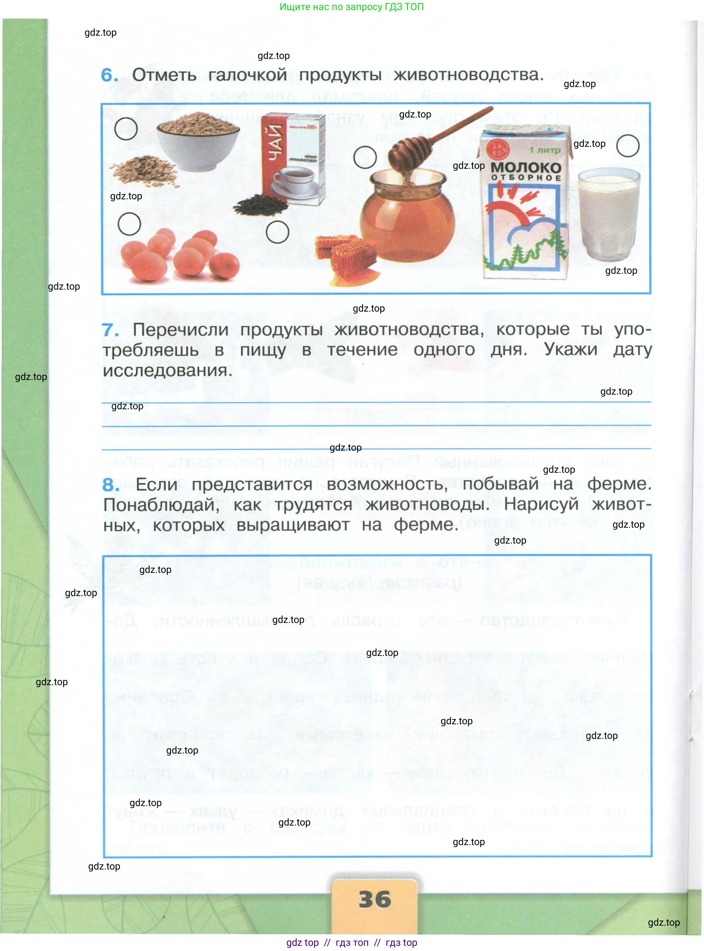 Окружающий мир, 3 класс рабочая тетрадь, автор: Плешаков Андрей Анатольевич, издательство Просвещение, Москва, 2023, белого цвета, страница 36