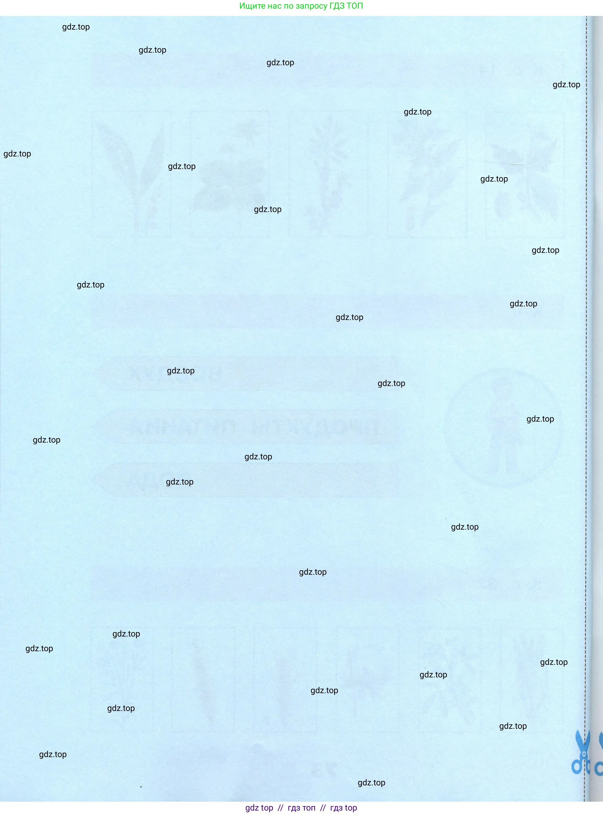 Окружающий мир, 3 класс рабочая тетрадь, автор: Плешаков Андрей Анатольевич, издательство Просвещение, Москва, 2023, белого цвета, страница 74