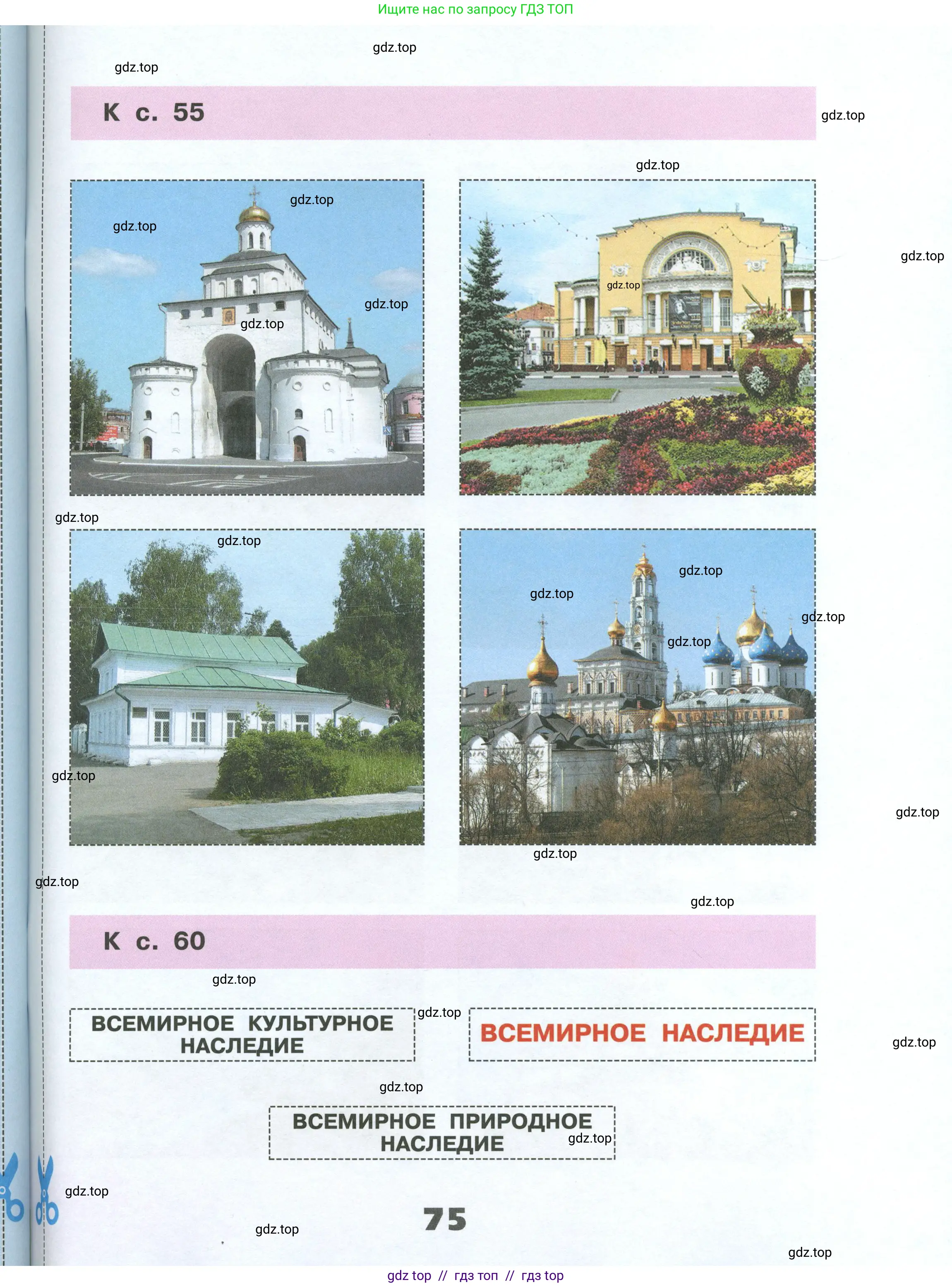 Окружающий мир, 3 класс рабочая тетрадь, автор: Плешаков Андрей Анатольевич, издательство Просвещение, Москва, 2023, белого цвета, страница 75
