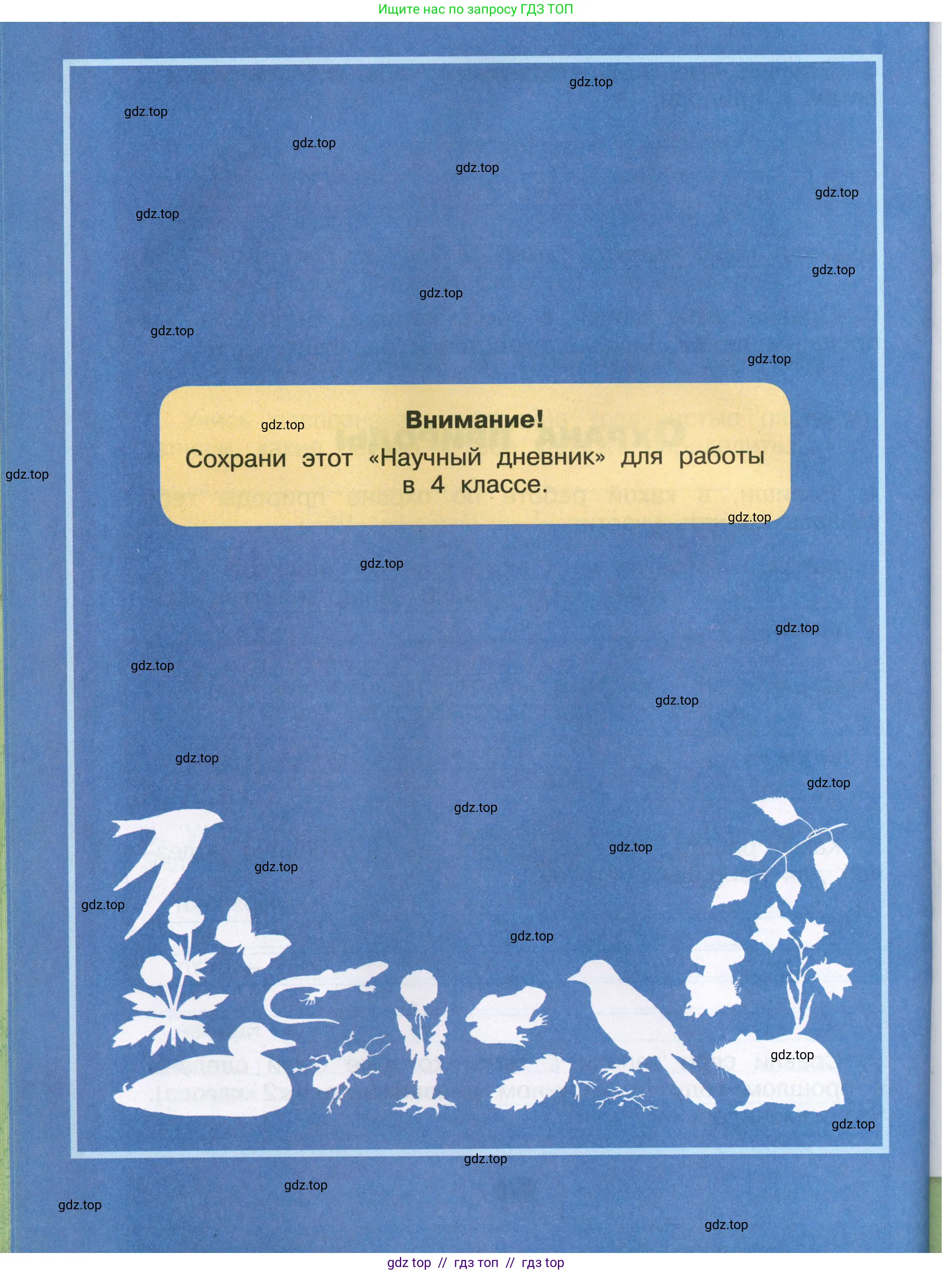 Окружающий мир, 3 класс рабочая тетрадь, автор: Плешаков Андрей Анатольевич, издательство Просвещение, Москва, 2023, белого цвета, страница 12