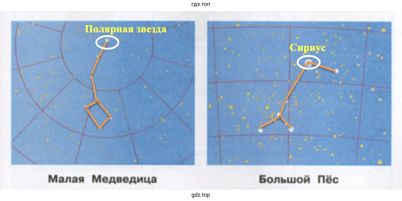 Малая Медведица Большой Пёс