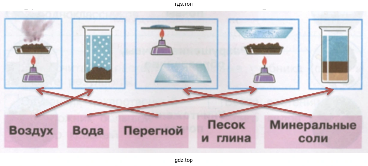 Составные части почвы
