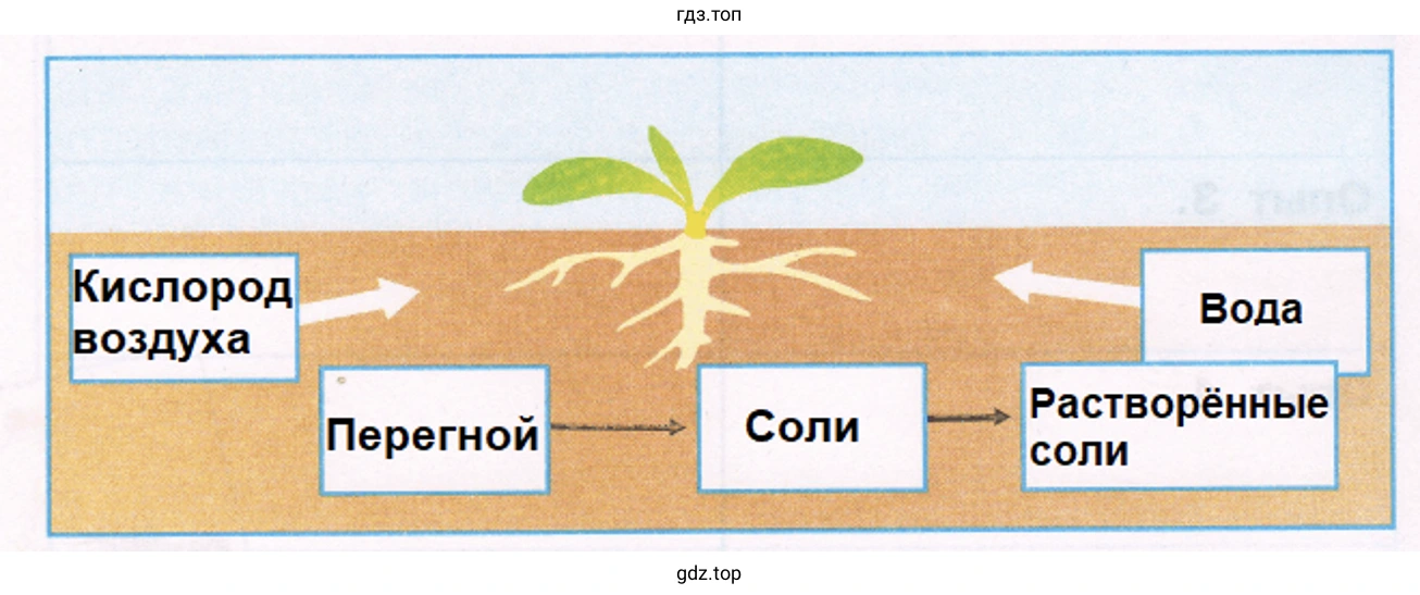 модель-аппликация