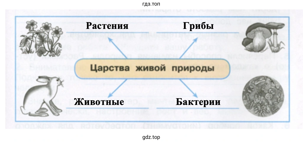 Царства живой природы