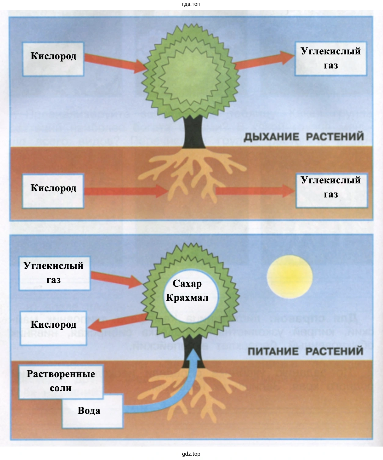 модель-аппликация