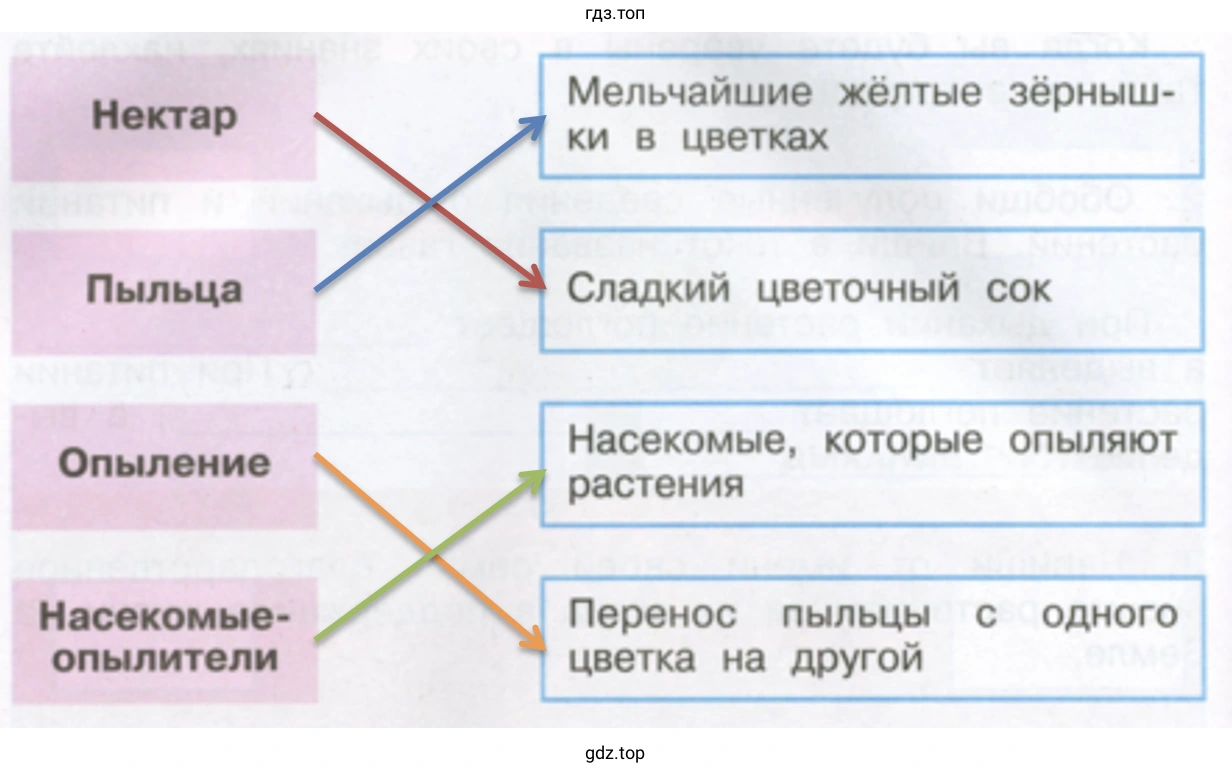 Опыление