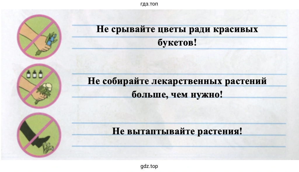 Правила поведения в лесу