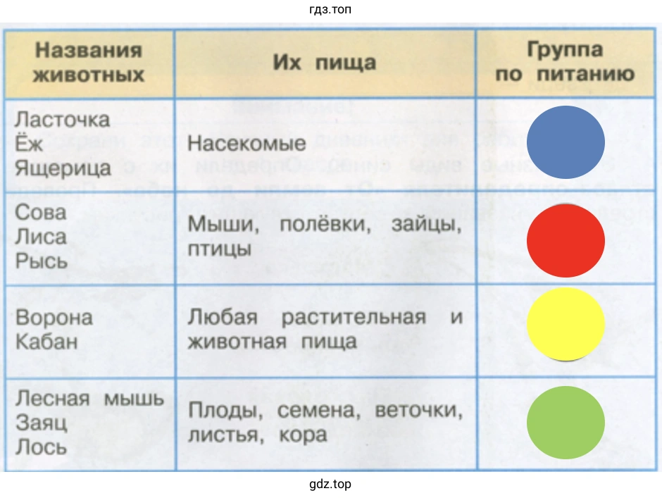 Питание различных животных