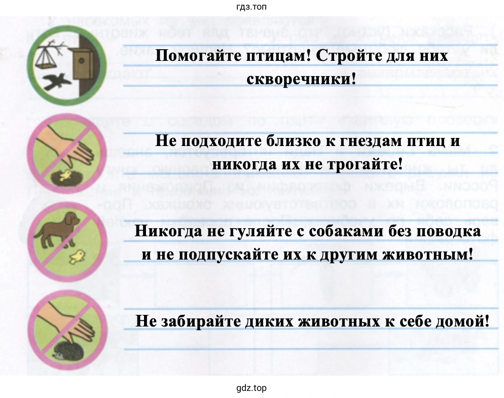 Правила поведения