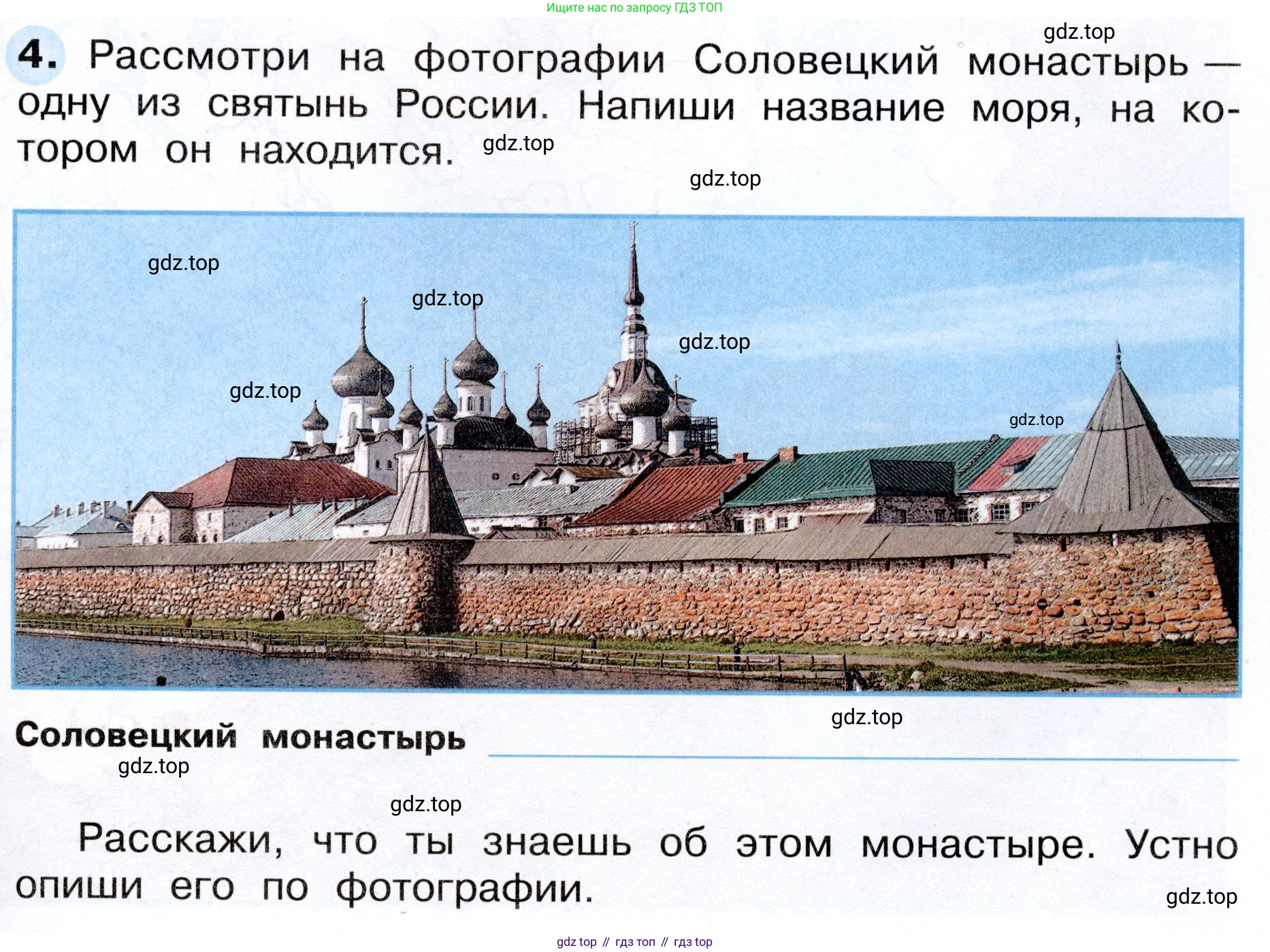 ГДЗ Окружающий мир, 4 класс рабочая тетрадь, авторы: Плешаков Андрей Анатольевич, Новицкая Марина Юрьевна, издательство Просвещение, Москва, 2019, белого цвета, Часть 1, страница 41, номер 4, Условие