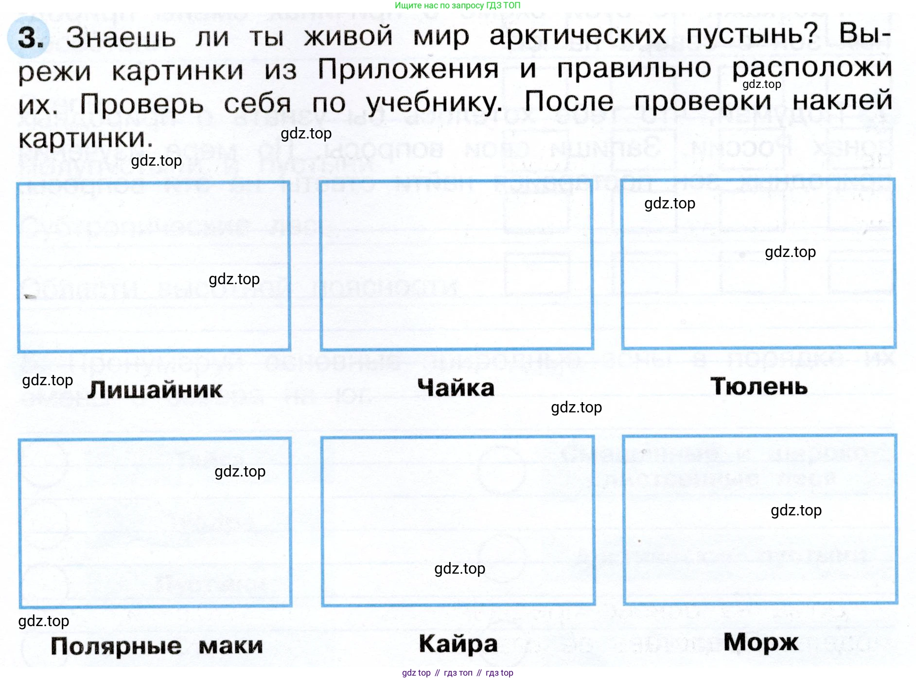 ГДЗ Окружающий мир, 4 класс рабочая тетрадь, авторы: Плешаков Андрей Анатольевич, Новицкая Марина Юрьевна, издательство Просвещение, Москва, 2019, белого цвета, Часть 1, страница 46, номер 3, Условие