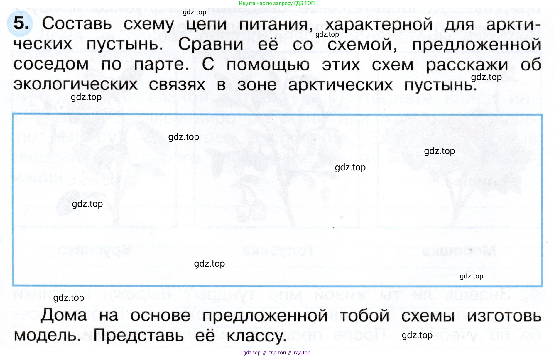ГДЗ Окружающий мир, 4 класс рабочая тетрадь, авторы: Плешаков Андрей Анатольевич, Новицкая Марина Юрьевна, издательство Просвещение, Москва, 2019, белого цвета, Часть 1, страница 47, номер 5, Условие