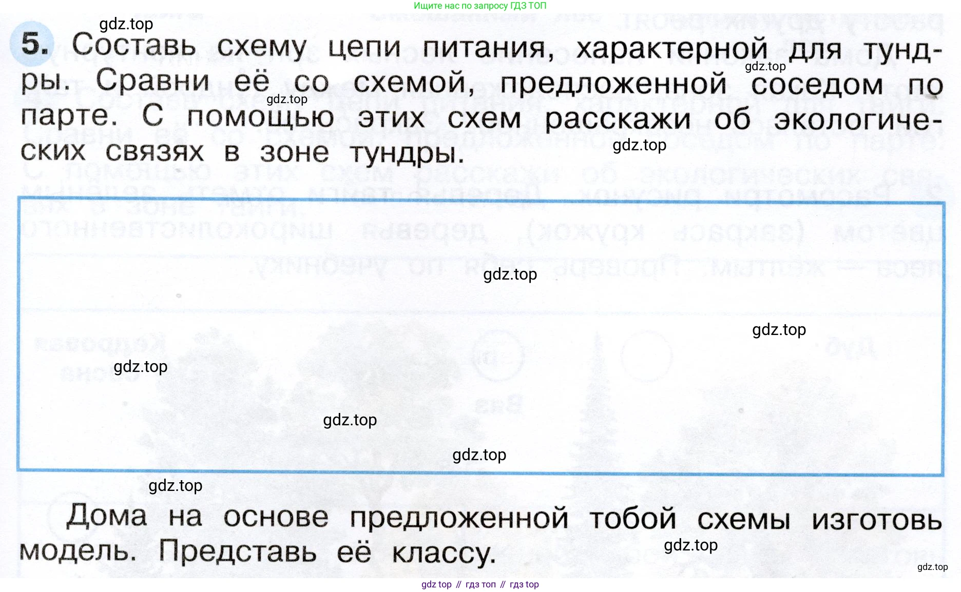 ГДЗ Окружающий мир, 4 класс рабочая тетрадь, авторы: Плешаков Андрей Анатольевич, Новицкая Марина Юрьевна, издательство Просвещение, Москва, 2019, белого цвета, Часть 1, страница 49, номер 5, Условие