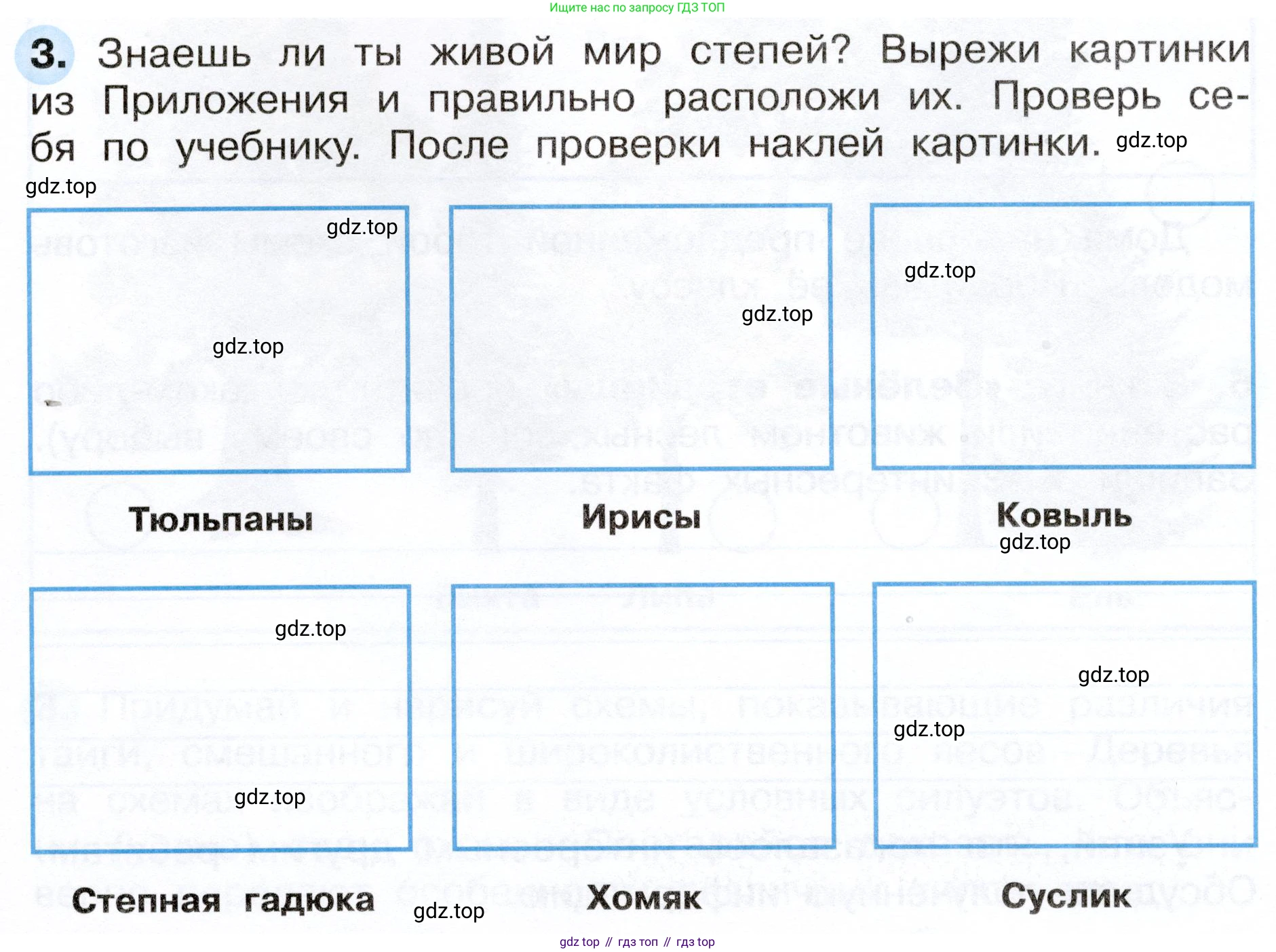 ГДЗ Окружающий мир, 4 класс рабочая тетрадь, авторы: Плешаков Андрей Анатольевич, Новицкая Марина Юрьевна, издательство Просвещение, Москва, 2019, белого цвета, Часть 1, страница 52, номер 3, Условие