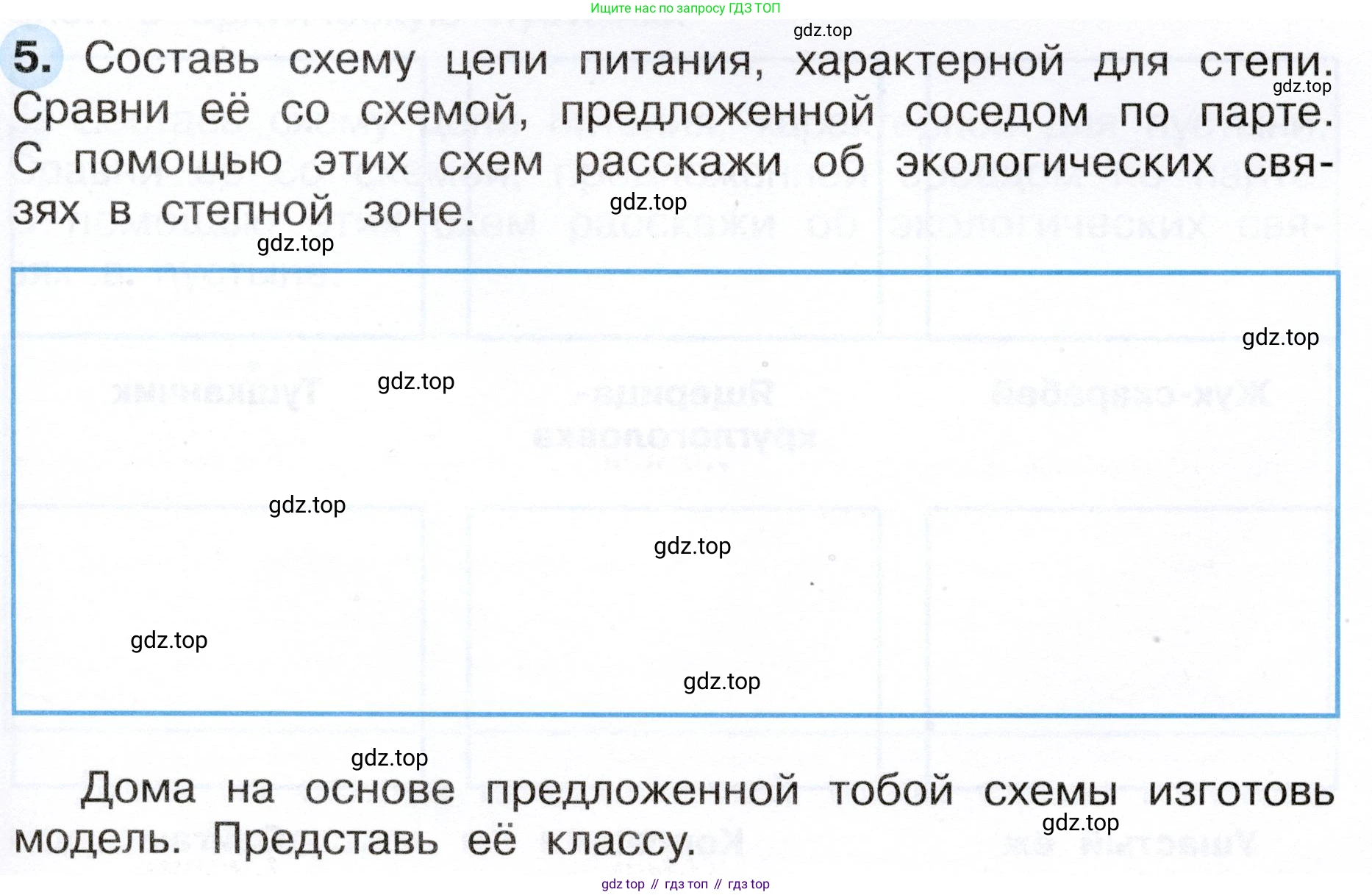 ГДЗ Окружающий мир, 4 класс рабочая тетрадь, авторы: Плешаков Андрей Анатольевич, Новицкая Марина Юрьевна, издательство Просвещение, Москва, 2019, белого цвета, Часть 1, страница 53, номер 5, Условие