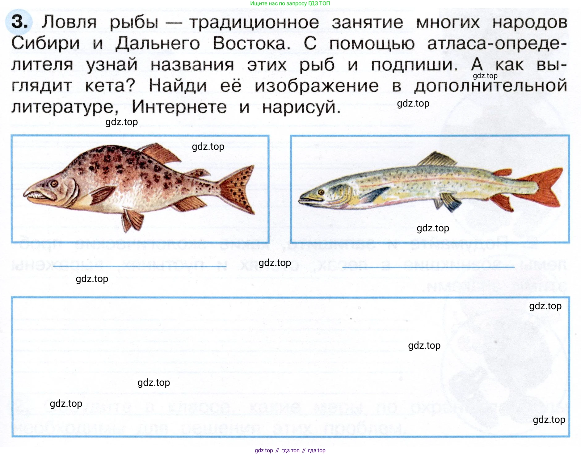 ГДЗ Окружающий мир, 4 класс рабочая тетрадь, авторы: Плешаков Андрей Анатольевич, Новицкая Марина Юрьевна, издательство Просвещение, Москва, 2019, белого цвета, Часть 1, страница 61, номер 3, Условие