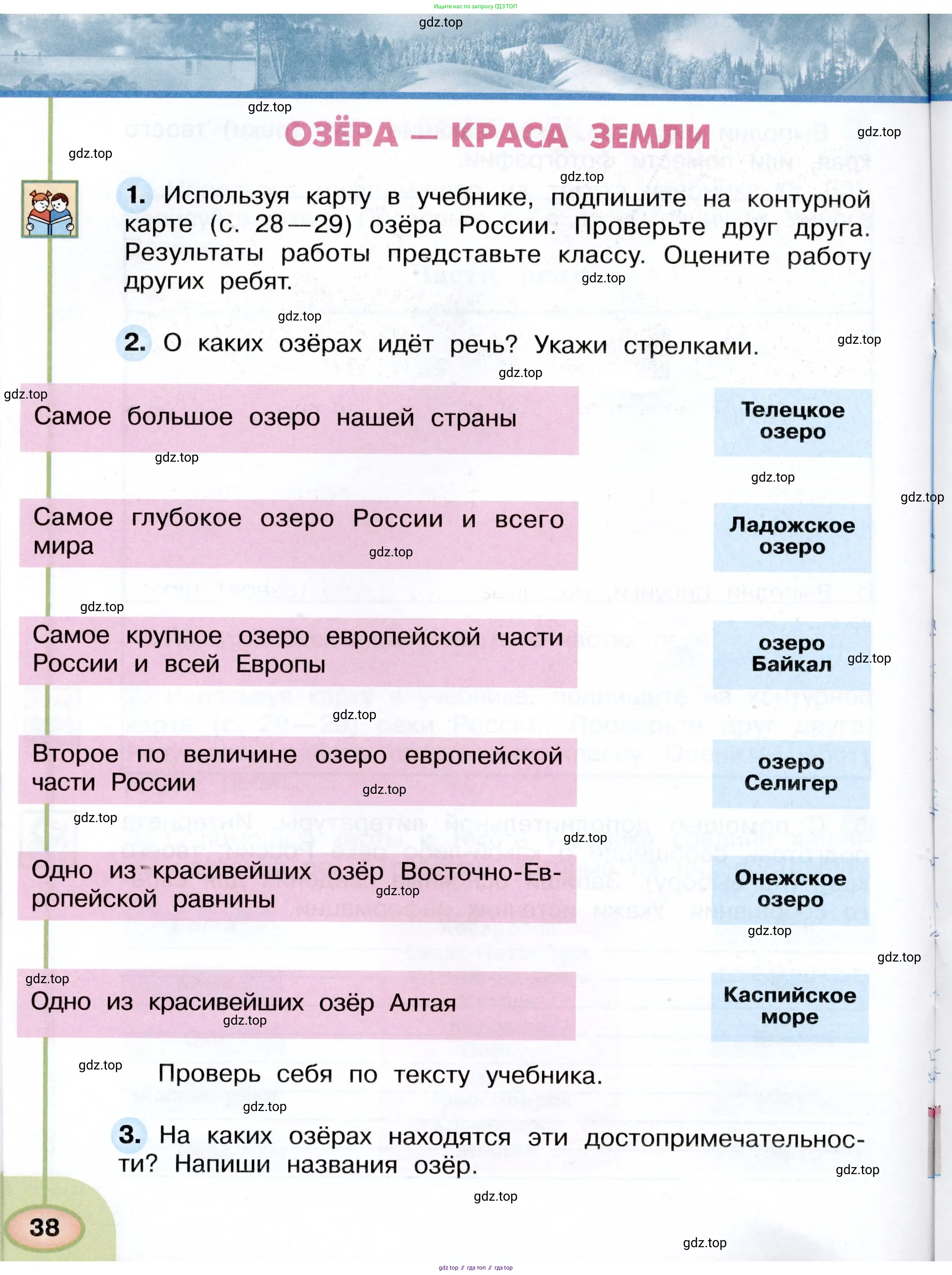 Окружающий мир, 4 класс рабочая тетрадь, авторы: Плешаков Андрей Анатольевич, Новицкая Марина Юрьевна, издательство Просвещение, Москва, 2019, белого цвета, Часть 1, страница 38