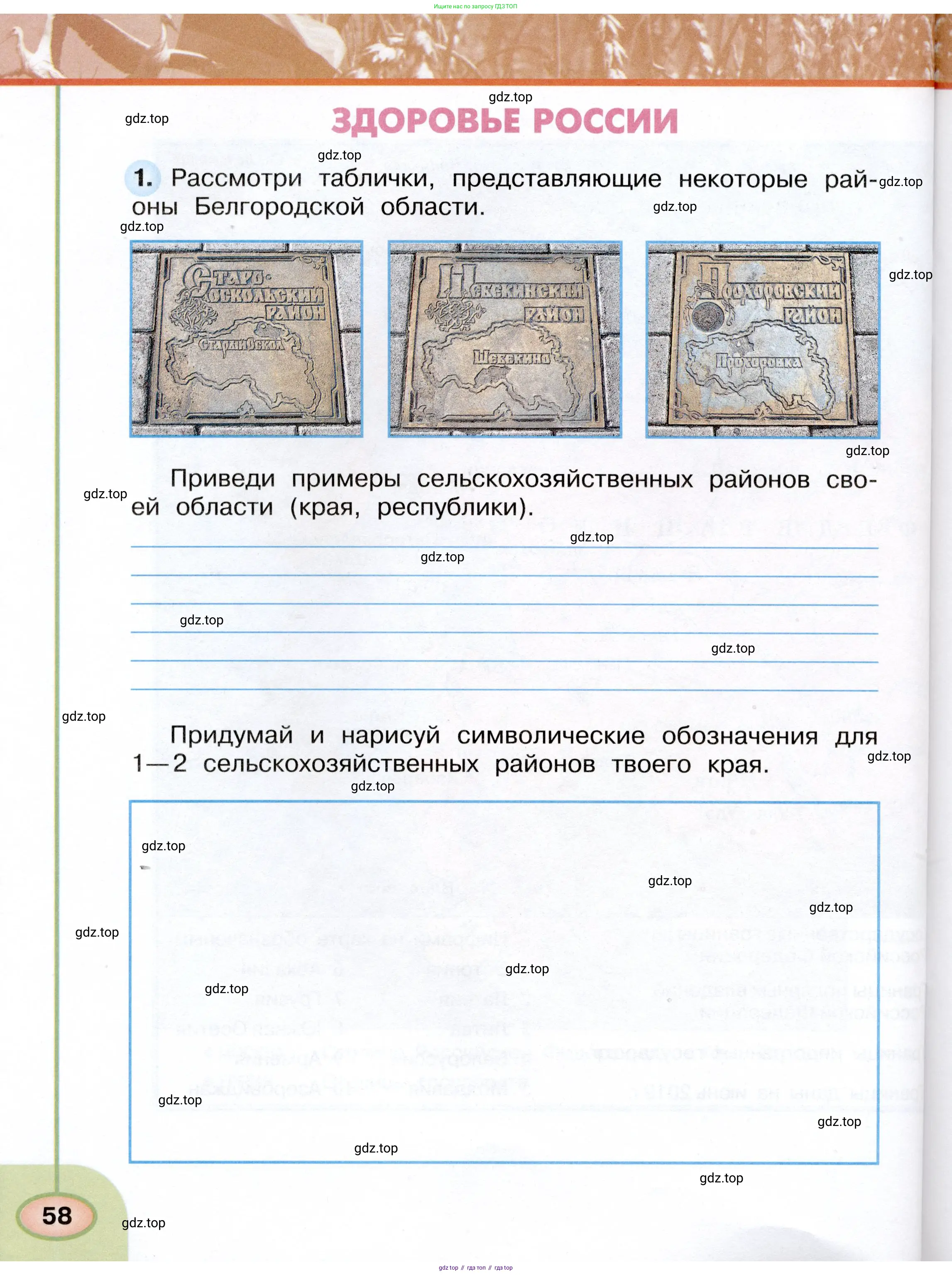 Окружающий мир, 4 класс рабочая тетрадь, авторы: Плешаков Андрей Анатольевич, Новицкая Марина Юрьевна, издательство Просвещение, Москва, 2019, белого цвета, Часть 1, страница 58
