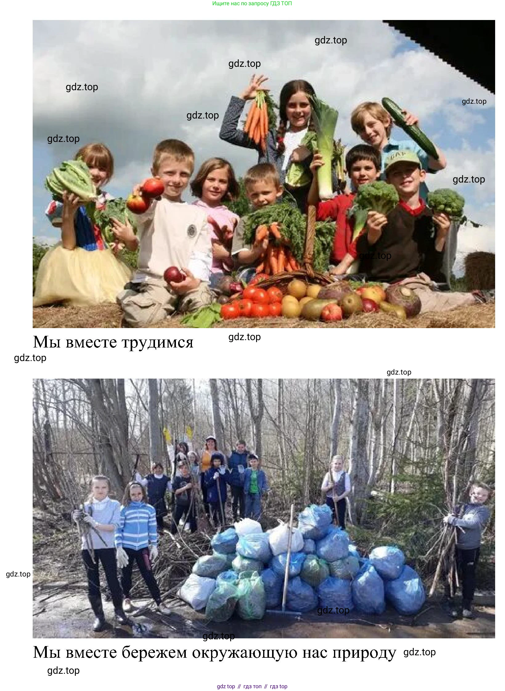 ГДЗ Окружающий мир, 4 класс рабочая тетрадь, авторы: Плешаков Андрей Анатольевич, Новицкая Марина Юрьевна, издательство Просвещение, Москва, 2019, белого цвета, Часть 1, страница 7, номер 2, Решение (продолжение 3)