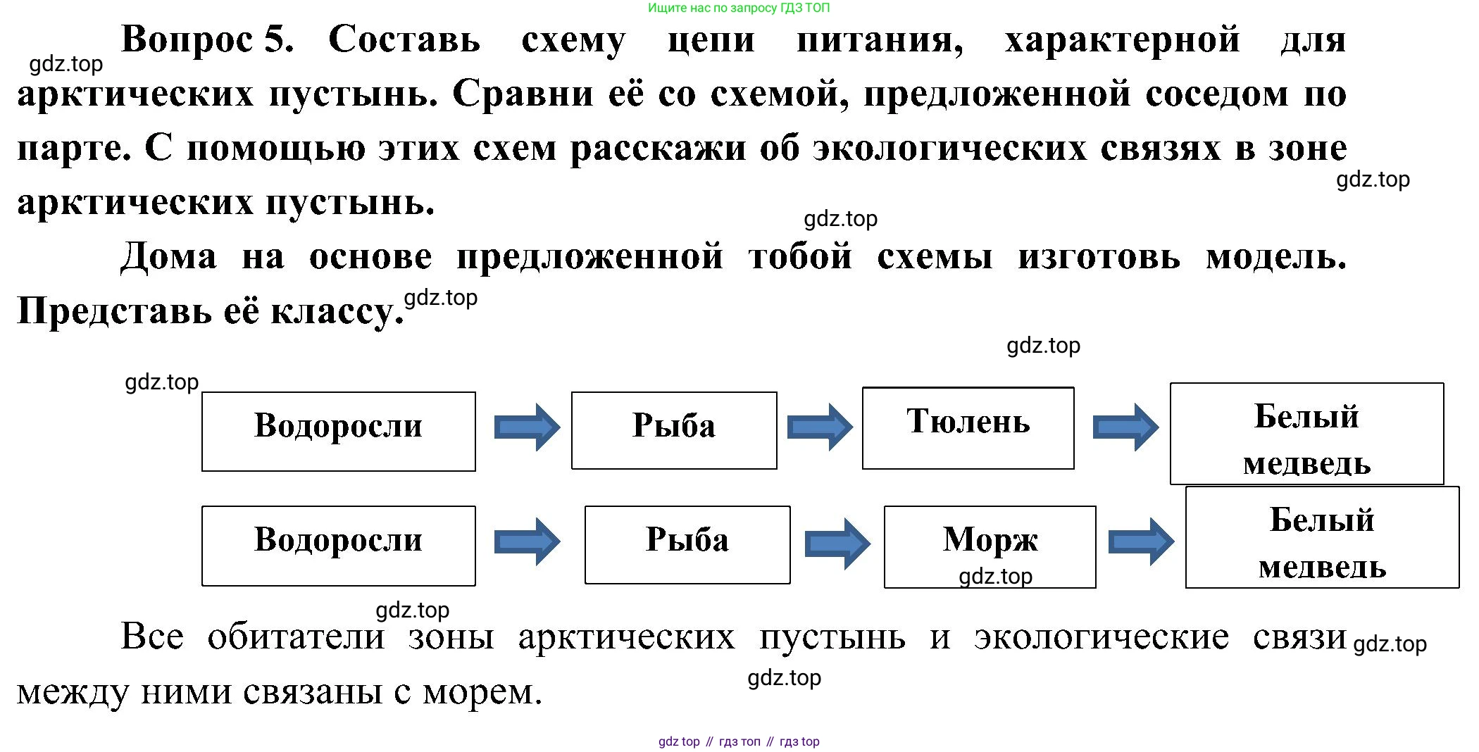 ГДЗ Окружающий мир, 4 класс рабочая тетрадь, авторы: Плешаков Андрей Анатольевич, Новицкая Марина Юрьевна, издательство Просвещение, Москва, 2019, белого цвета, Часть 1, страница 47, номер 5, Решение