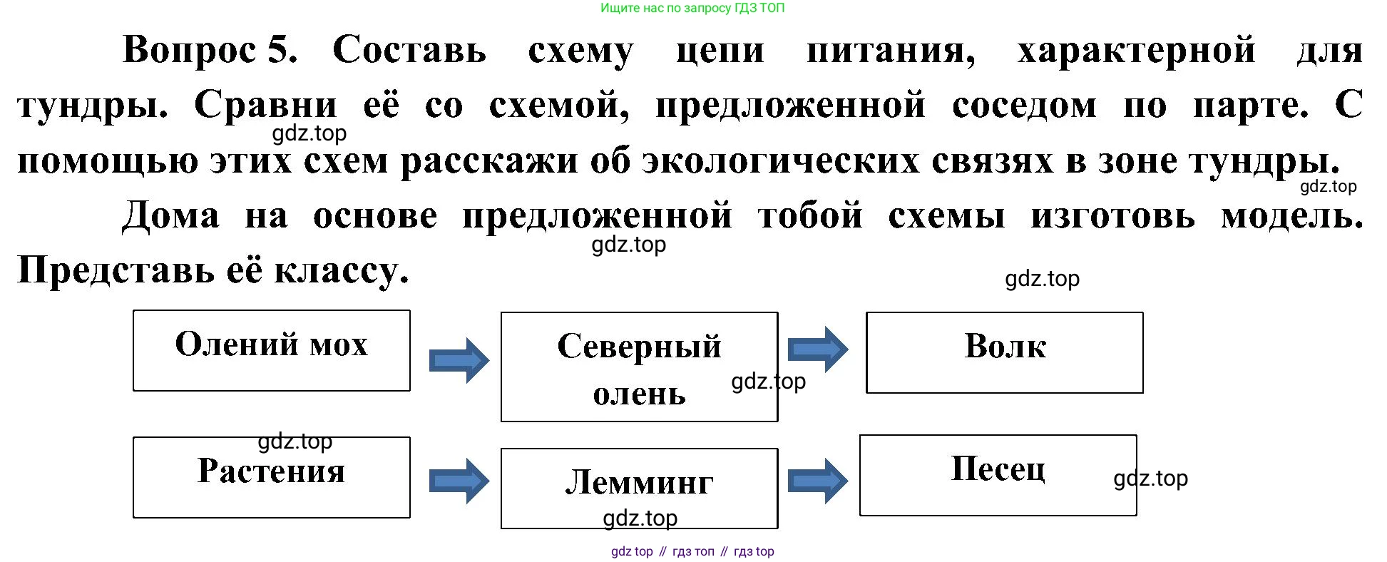 ГДЗ Окружающий мир, 4 класс рабочая тетрадь, авторы: Плешаков Андрей Анатольевич, Новицкая Марина Юрьевна, издательство Просвещение, Москва, 2019, белого цвета, Часть 1, страница 49, номер 5, Решение
