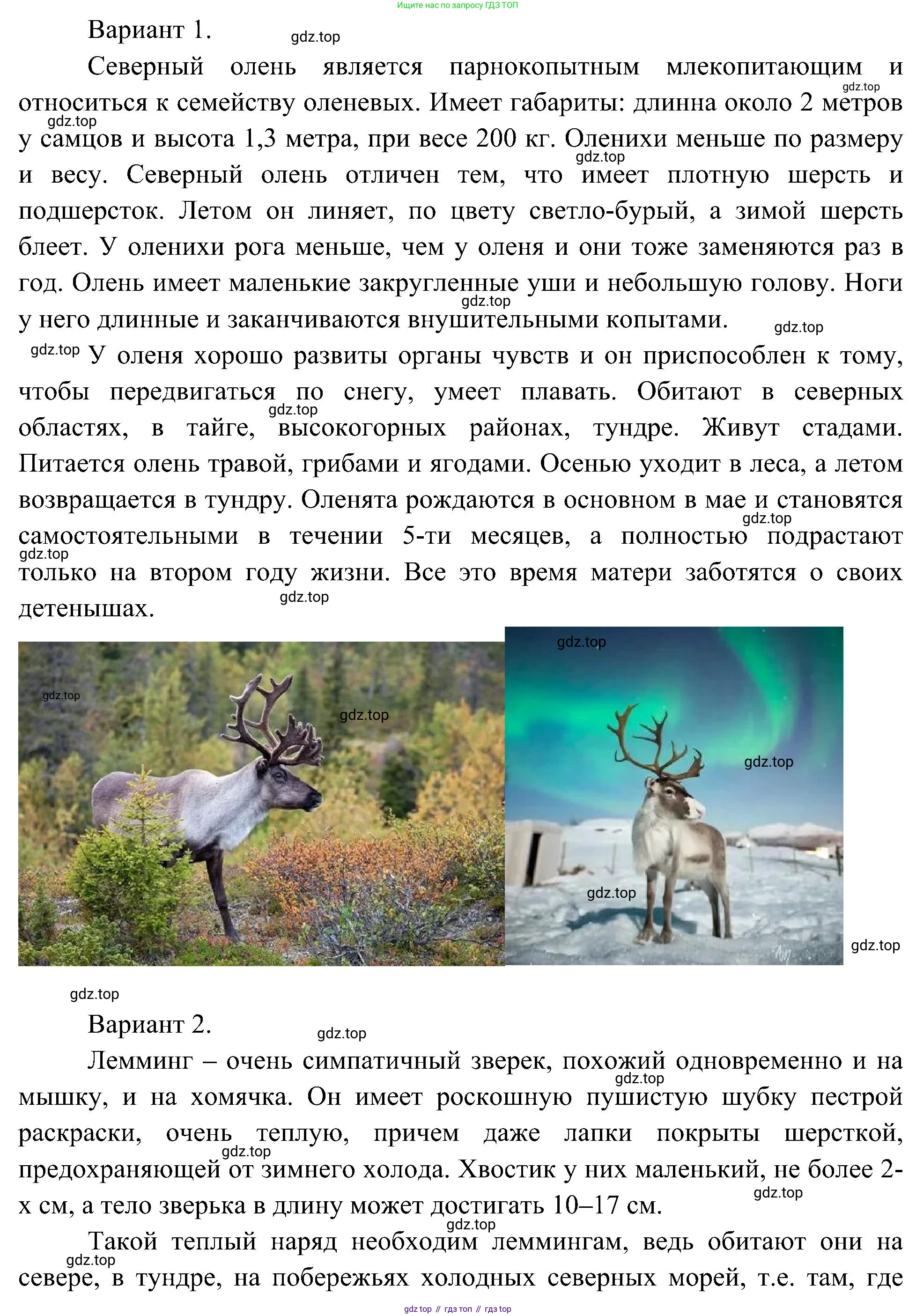 ГДЗ Окружающий мир, 4 класс рабочая тетрадь, авторы: Плешаков Андрей Анатольевич, Новицкая Марина Юрьевна, издательство Просвещение, Москва, 2019, белого цвета, Часть 1, страница 49, номер 6, Решение