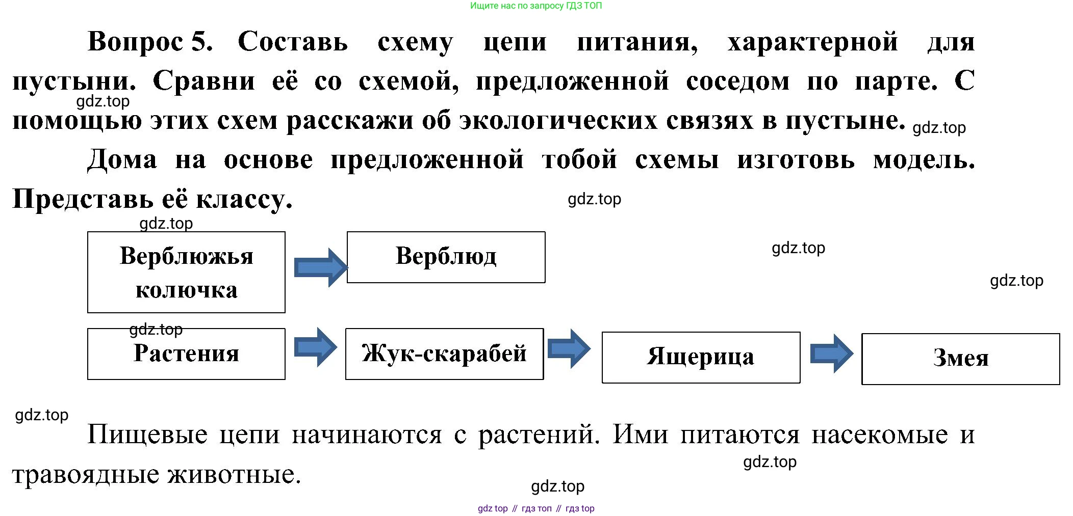 ГДЗ Окружающий мир, 4 класс рабочая тетрадь, авторы: Плешаков Андрей Анатольевич, Новицкая Марина Юрьевна, издательство Просвещение, Москва, 2019, белого цвета, Часть 1, страница 55, номер 5, Решение