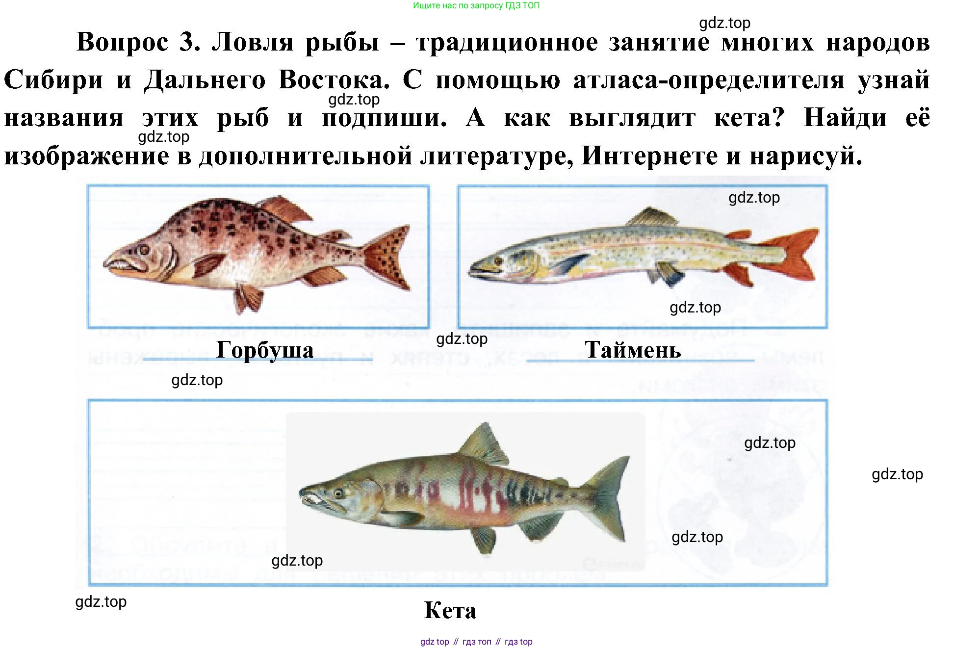 ГДЗ Окружающий мир, 4 класс рабочая тетрадь, авторы: Плешаков Андрей Анатольевич, Новицкая Марина Юрьевна, издательство Просвещение, Москва, 2019, белого цвета, Часть 1, страница 61, номер 3, Решение