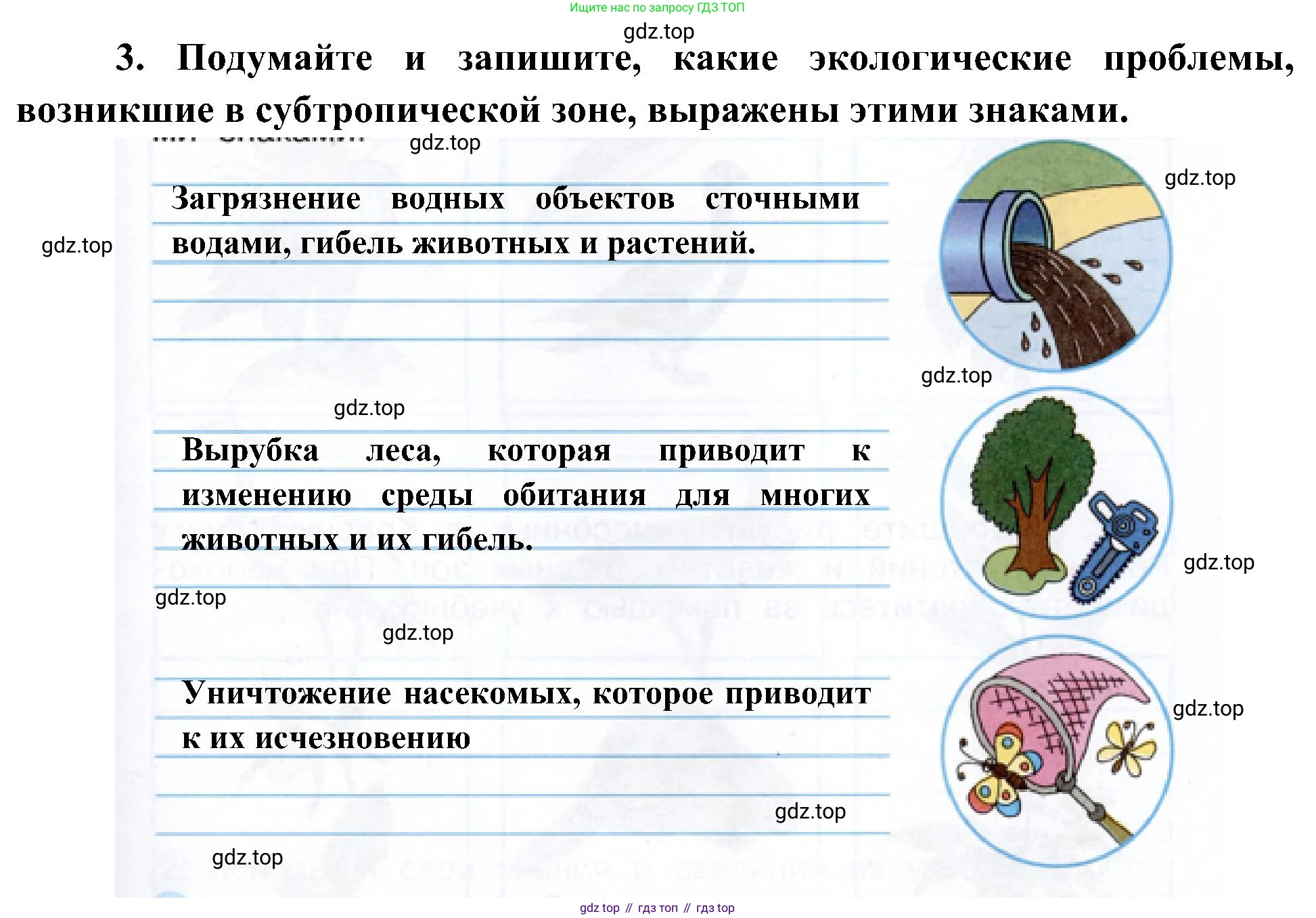 ГДЗ Окружающий мир, 4 класс рабочая тетрадь, авторы: Плешаков Андрей Анатольевич, Новицкая Марина Юрьевна, издательство Просвещение, Москва, 2019, белого цвета, Часть 1, страница 62, номер 1, Решение (продолжение 2)