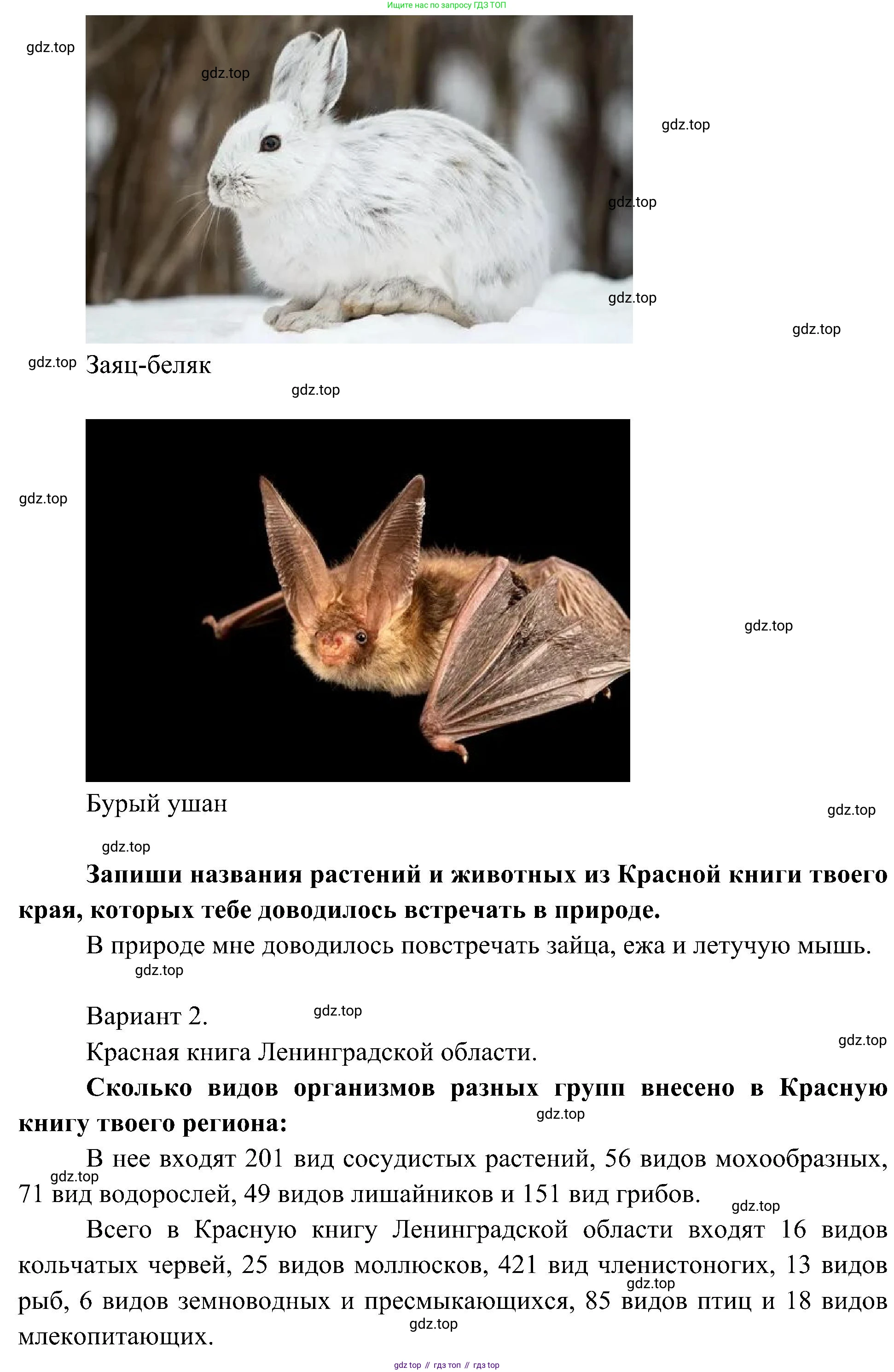 ГДЗ Окружающий мир, 4 класс рабочая тетрадь, авторы: Плешаков Андрей Анатольевич, Новицкая Марина Юрьевна, издательство Просвещение, Москва, 2019, белого цвета, Часть 1, страница 66, номер 3, Решение (продолжение 3)
