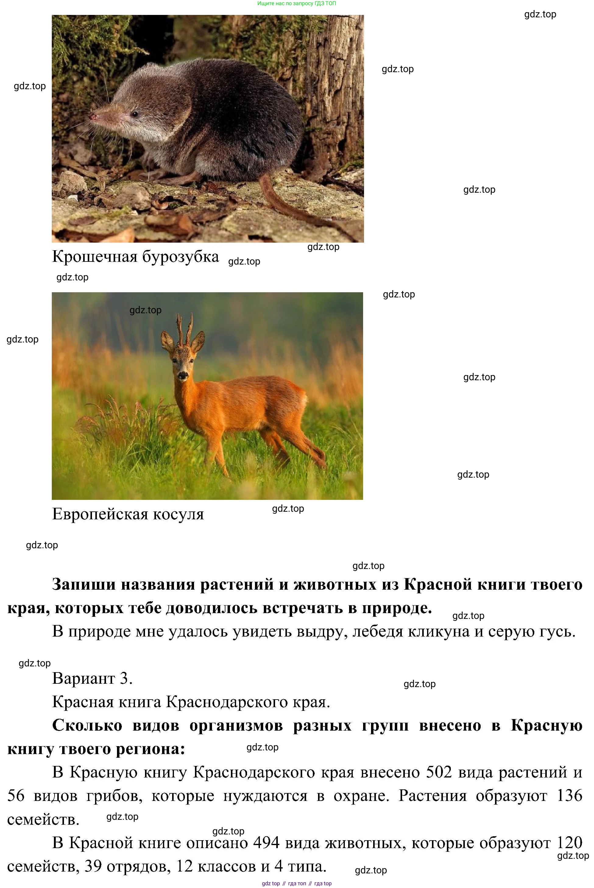 ГДЗ Окружающий мир, 4 класс рабочая тетрадь, авторы: Плешаков Андрей Анатольевич, Новицкая Марина Юрьевна, издательство Просвещение, Москва, 2019, белого цвета, Часть 1, страница 66, номер 3, Решение (продолжение 5)