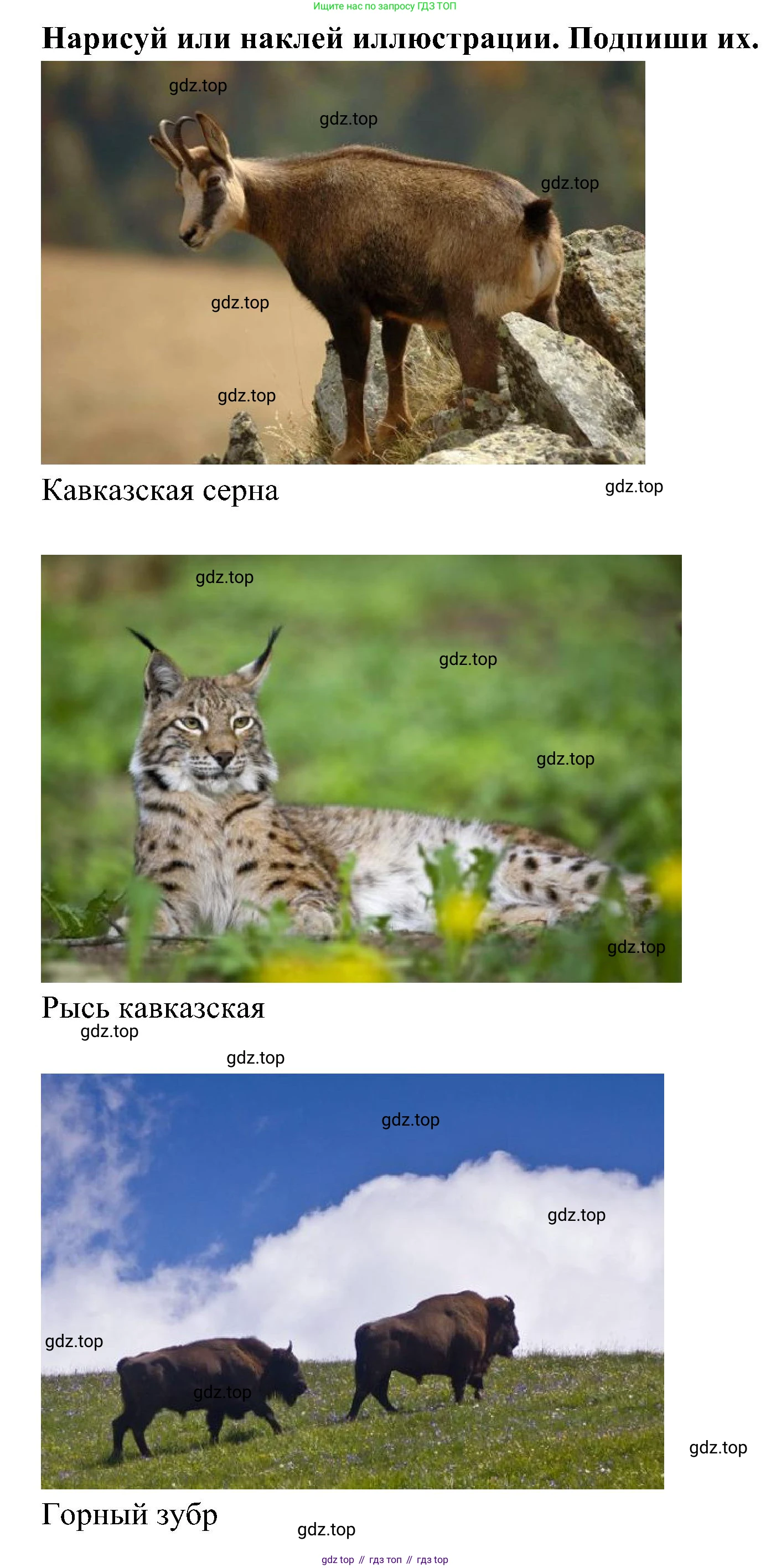 ГДЗ Окружающий мир, 4 класс рабочая тетрадь, авторы: Плешаков Андрей Анатольевич, Новицкая Марина Юрьевна, издательство Просвещение, Москва, 2019, белого цвета, Часть 1, страница 66, номер 3, Решение (продолжение 6)