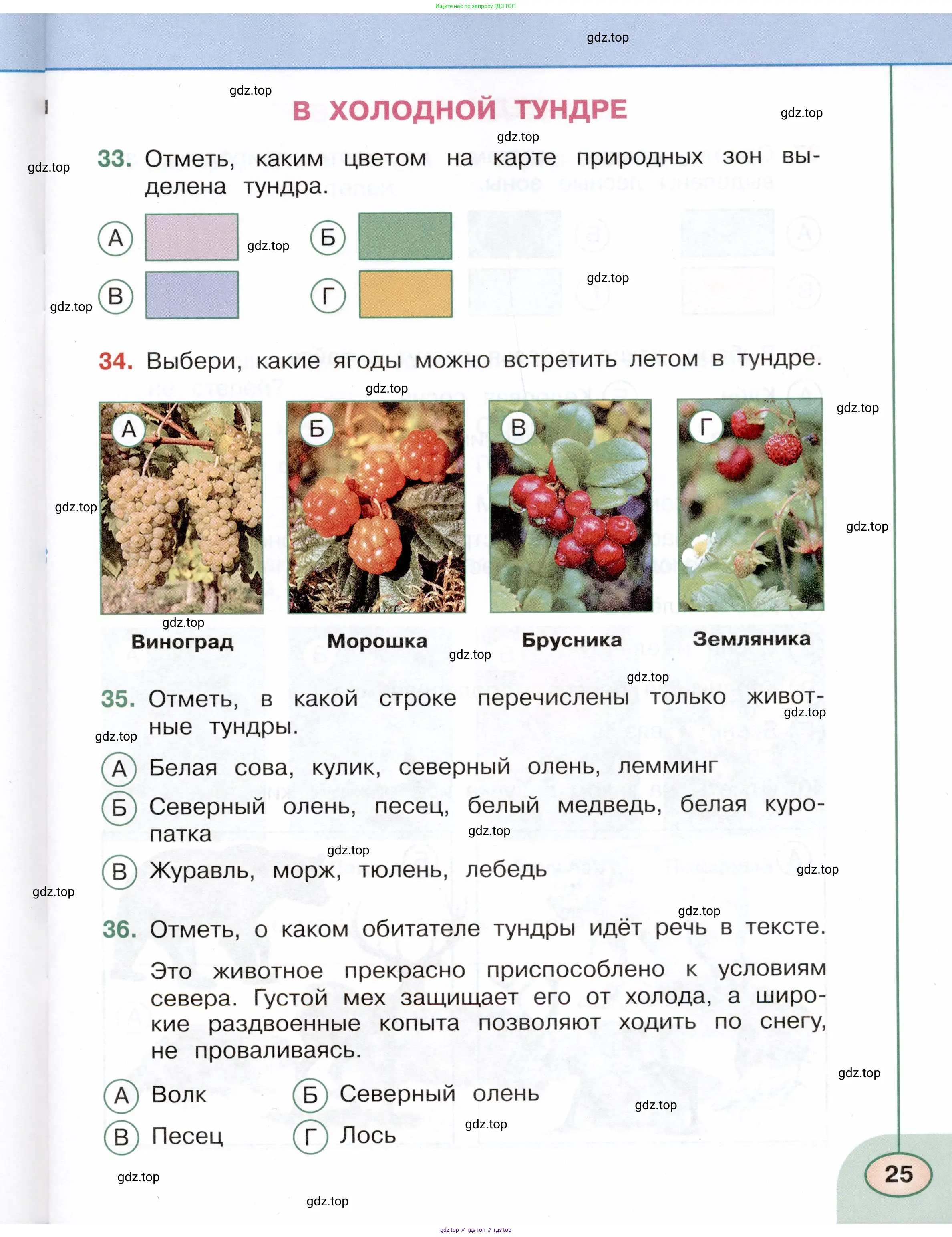 Окружающий мир, 4 класс Тесты, авторы: Плешаков Андрей Анатольевич, Новицкая Марина Юрьевна, Назарова З Д, издательство Просвещение, Москва, 2021, белого цвета, страница 25