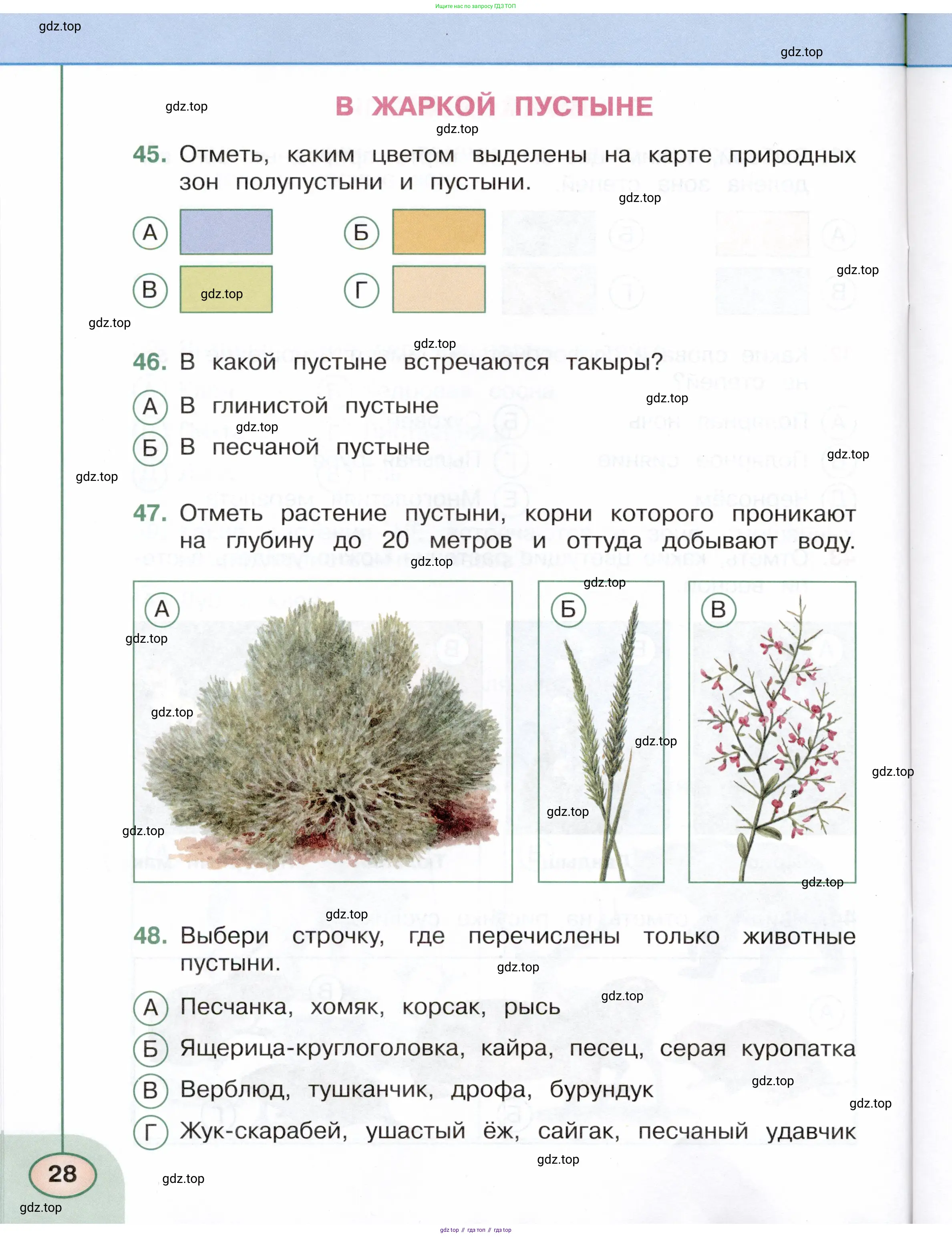 Окружающий мир, 4 класс Тесты, авторы: Плешаков Андрей Анатольевич, Новицкая Марина Юрьевна, Назарова З Д, издательство Просвещение, Москва, 2021, белого цвета, страница 28