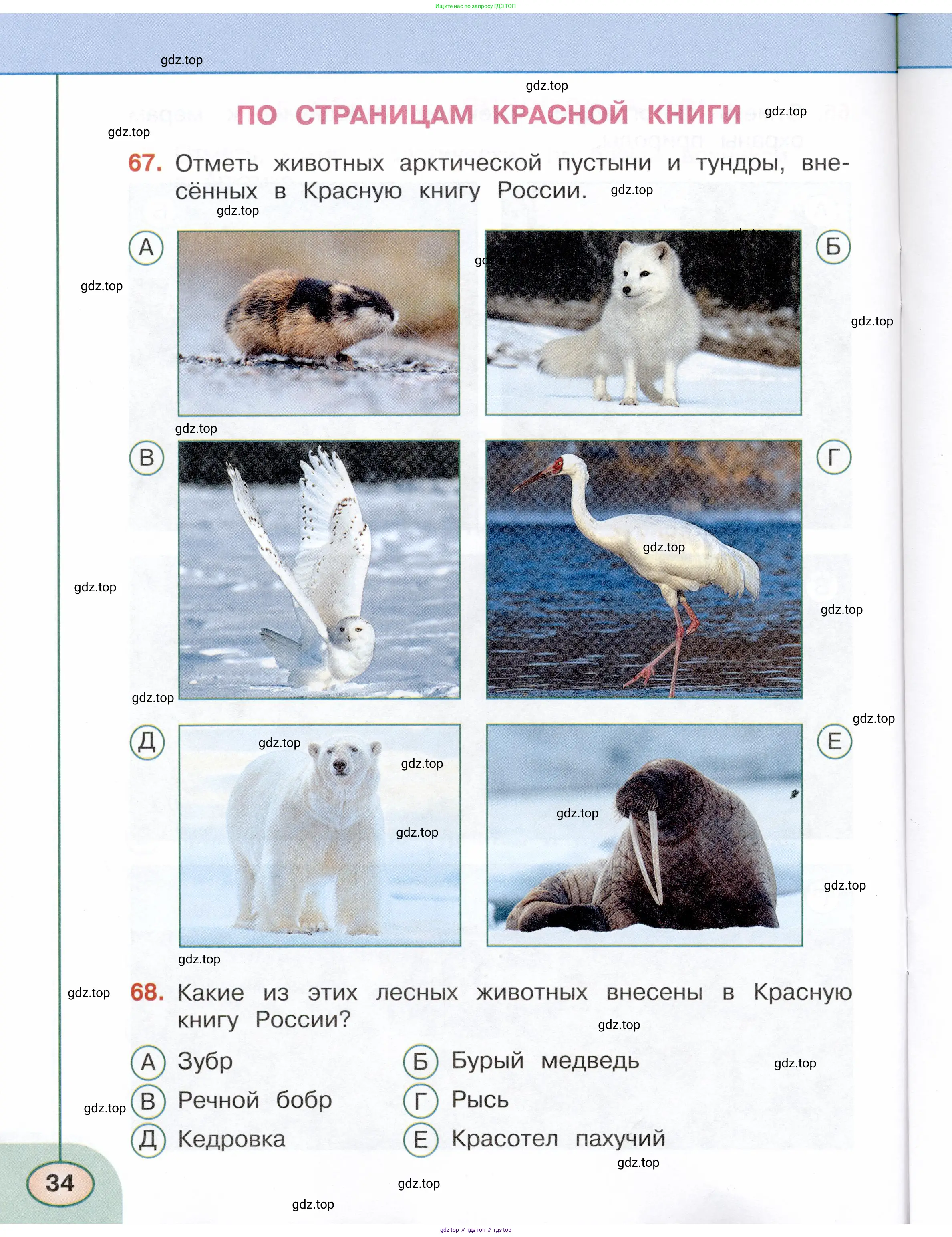 Окружающий мир, 4 класс Тесты, авторы: Плешаков Андрей Анатольевич, Новицкая Марина Юрьевна, Назарова З Д, издательство Просвещение, Москва, 2021, белого цвета, страница 34