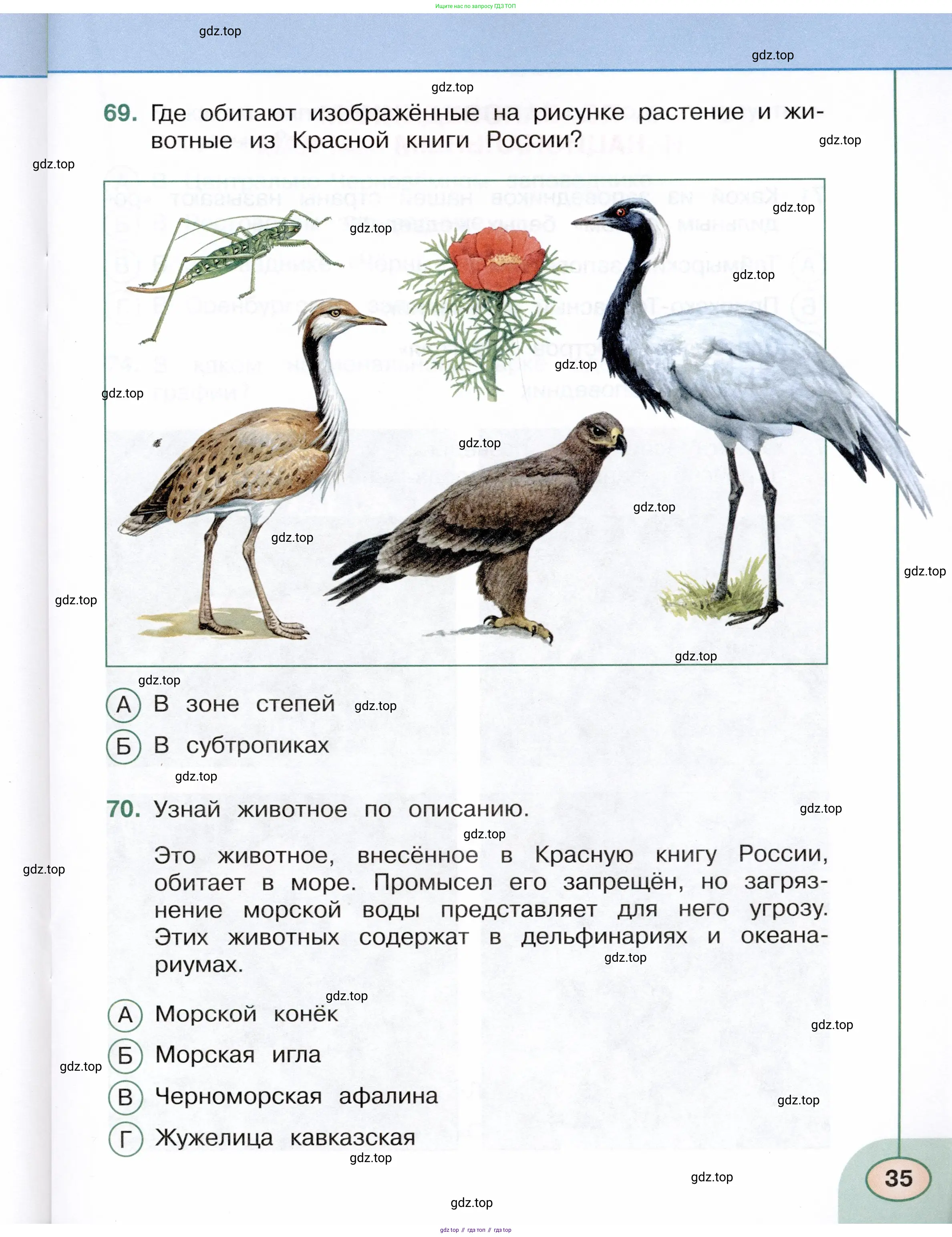 Окружающий мир, 4 класс Тесты, авторы: Плешаков Андрей Анатольевич, Новицкая Марина Юрьевна, Назарова З Д, издательство Просвещение, Москва, 2021, белого цвета, страница 35