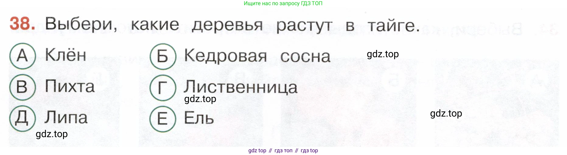 Окружающий мир, 4 класс Тесты, авторы: Плешаков Андрей Анатольевич, Новицкая Марина Юрьевна, Назарова З Д, издательство Просвещение, Москва, 2021, белого цвета, страница 26, номер 38, Условие