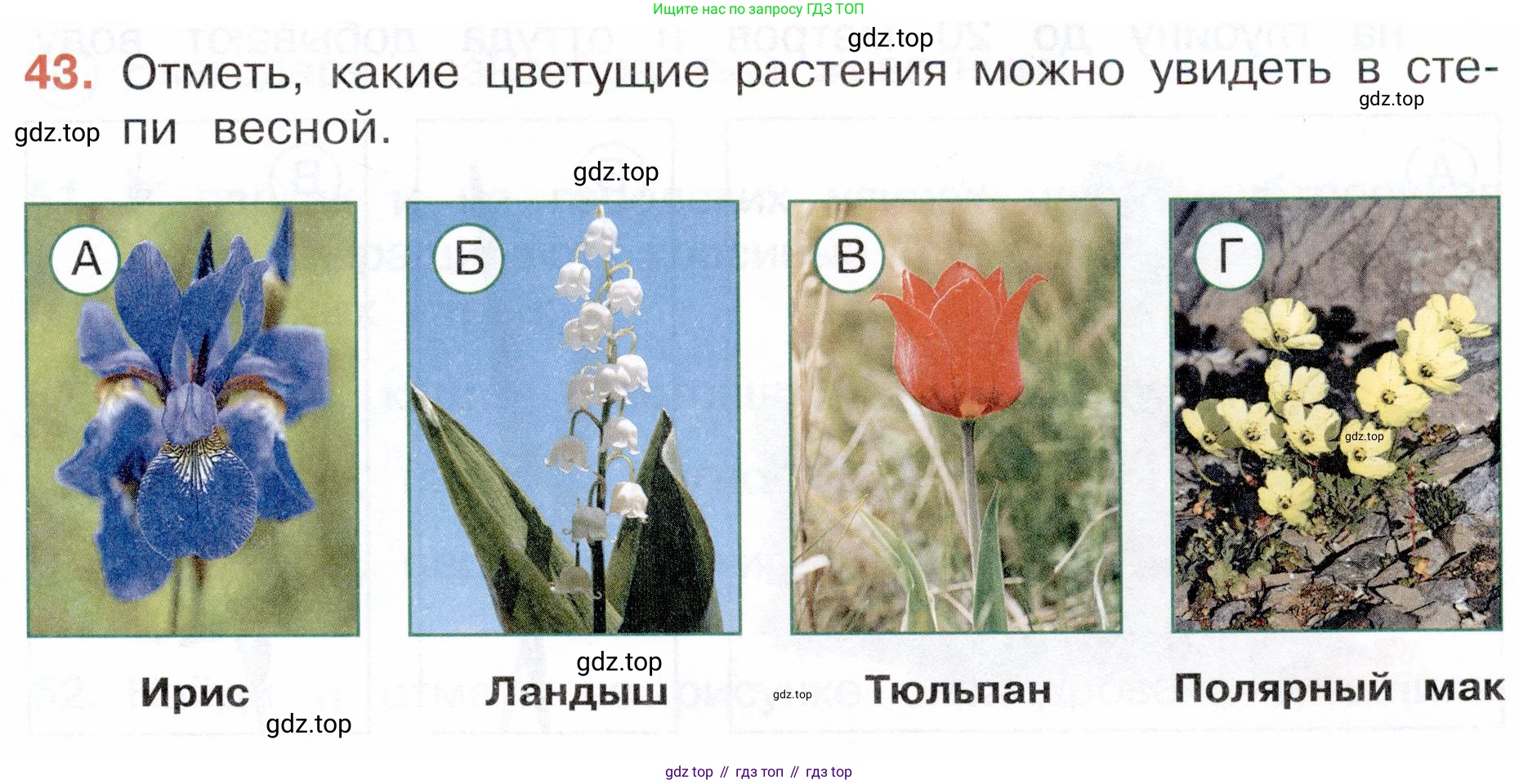 Окружающий мир, 4 класс Тесты, авторы: Плешаков Андрей Анатольевич, Новицкая Марина Юрьевна, Назарова З Д, издательство Просвещение, Москва, 2021, белого цвета, страница 27, номер 43, Условие