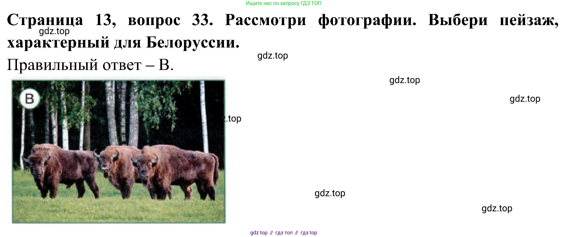 Окружающий мир, 4 класс Тесты, авторы: Плешаков Андрей Анатольевич, Новицкая Марина Юрьевна, Назарова З Д, издательство Просвещение, Москва, 2021, белого цвета, страница 13, номер 33, Решение