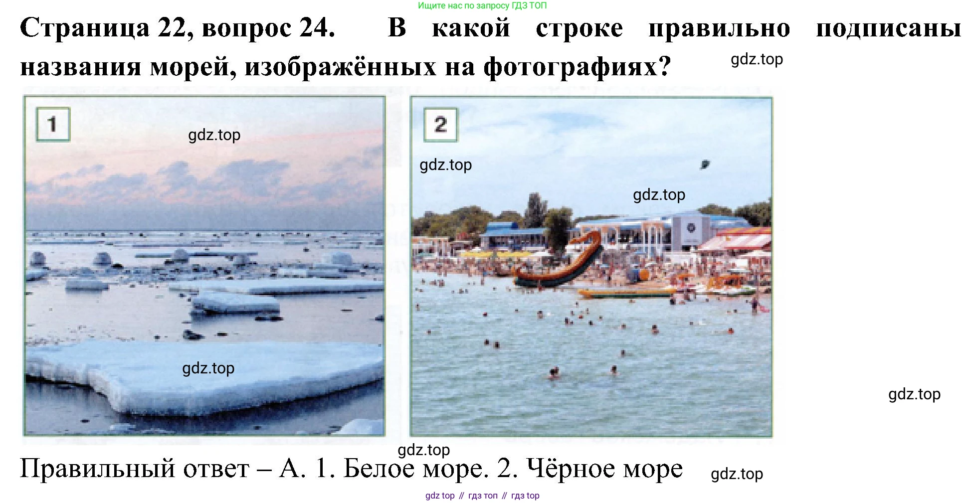 Окружающий мир, 4 класс Тесты, авторы: Плешаков Андрей Анатольевич, Новицкая Марина Юрьевна, Назарова З Д, издательство Просвещение, Москва, 2021, белого цвета, страница 22, номер 24, Решение